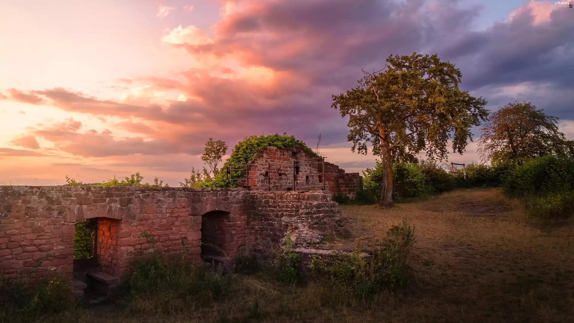 trees, viewes, Great Sunsets, grass, autumn, ruins, Field, clouds