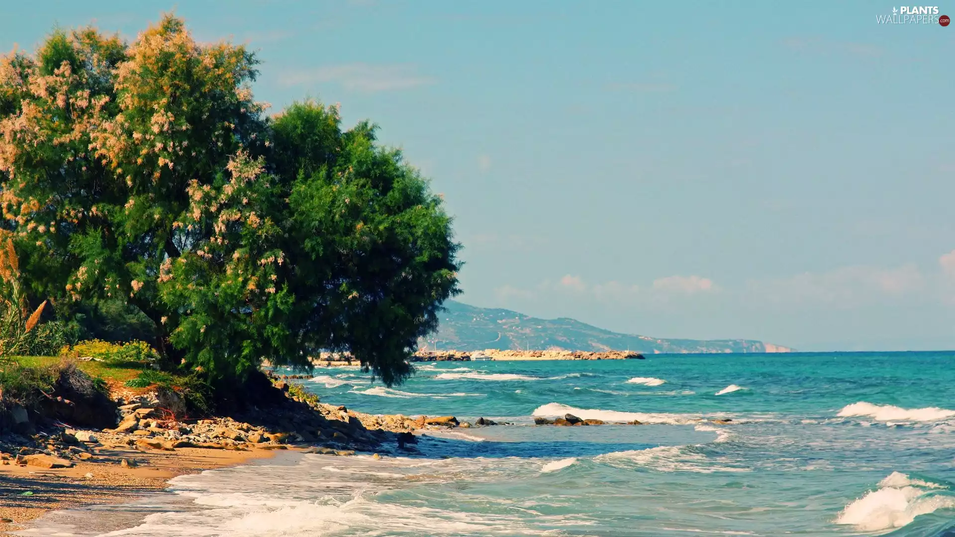 sea, Zakynthos, Greece, trees