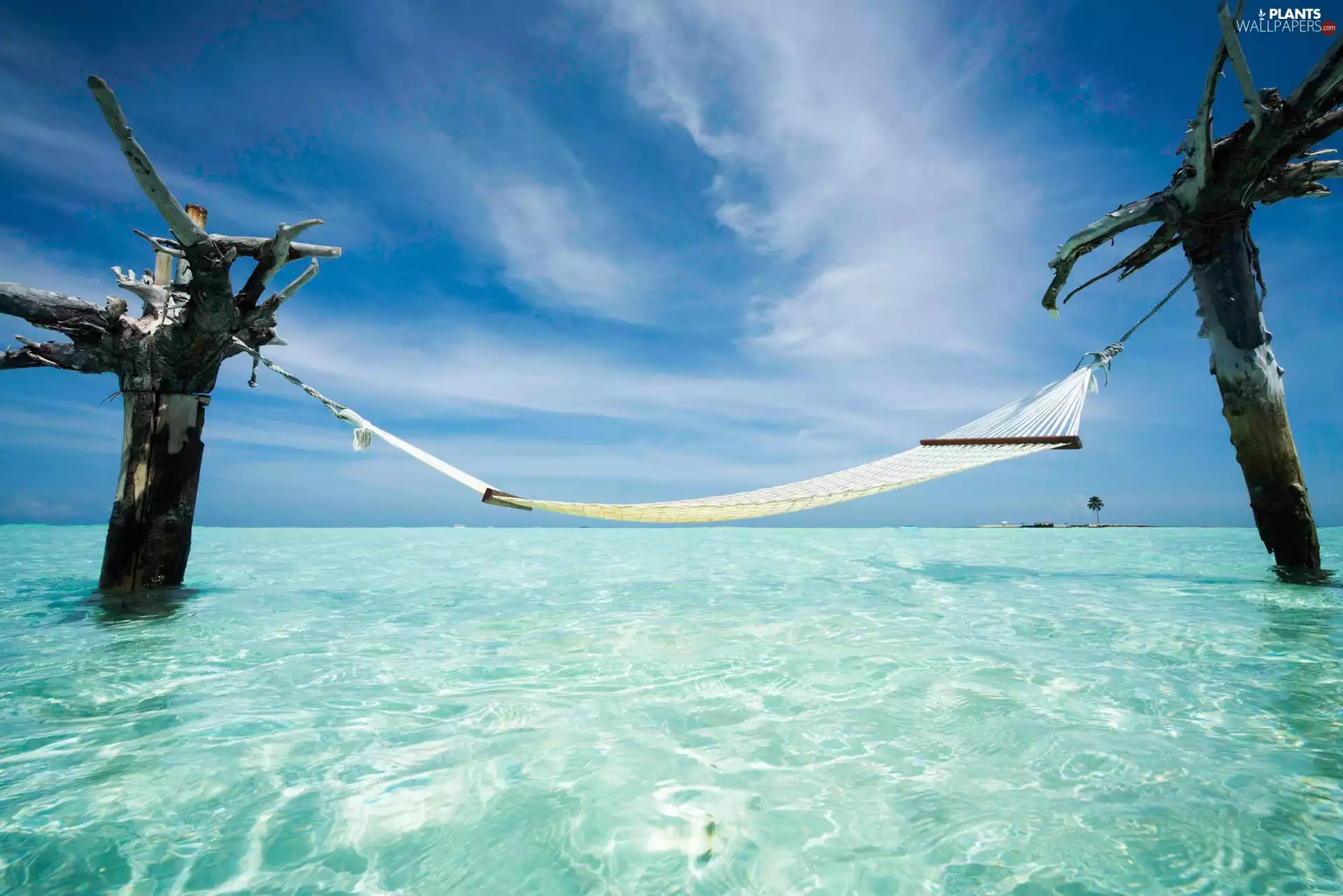 sea, viewes, Hammock, trees