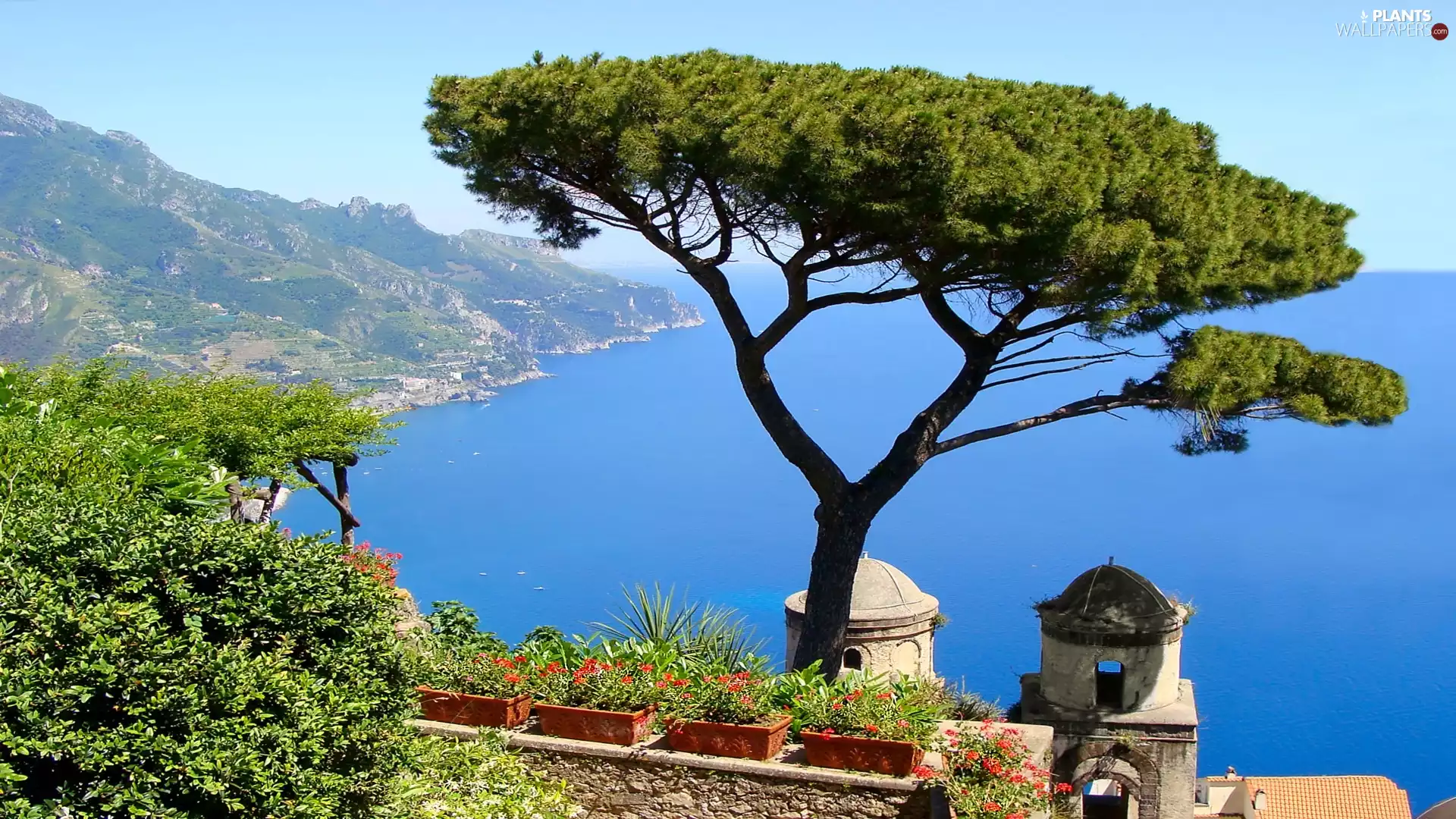 sea, Amalfi, Italy, trees