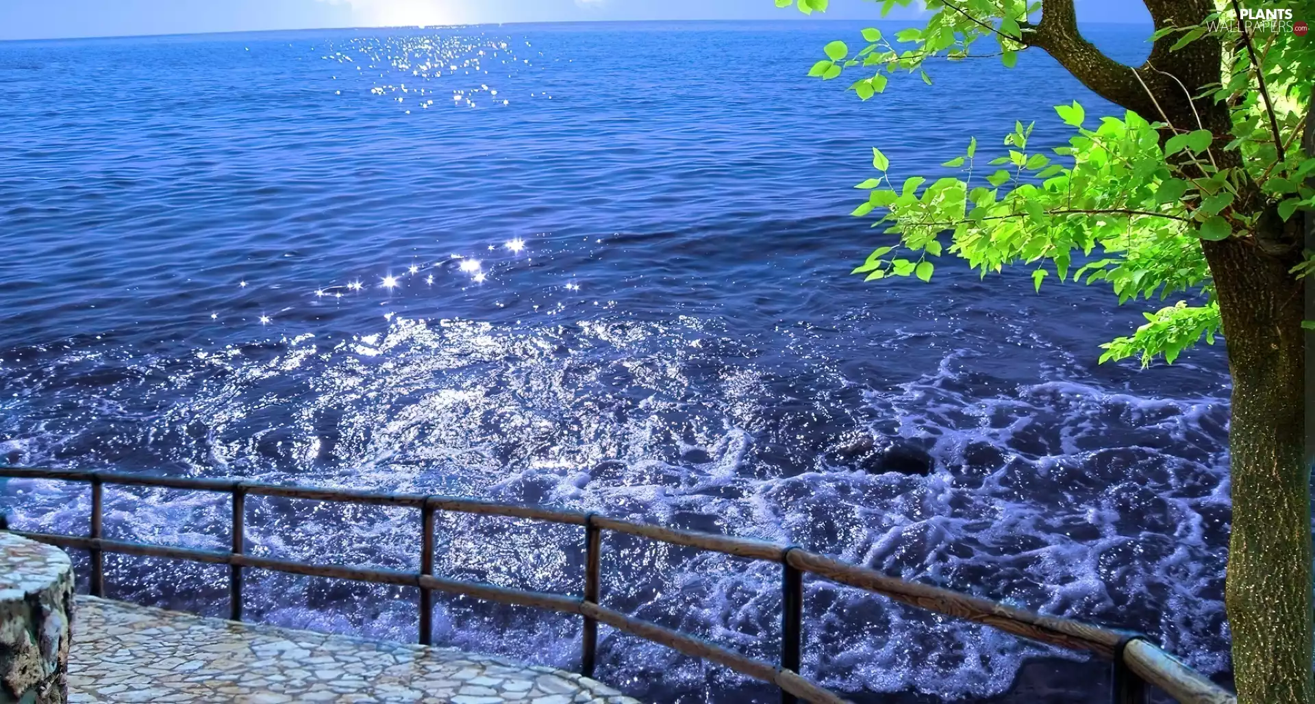 sea, rays, sun, trees