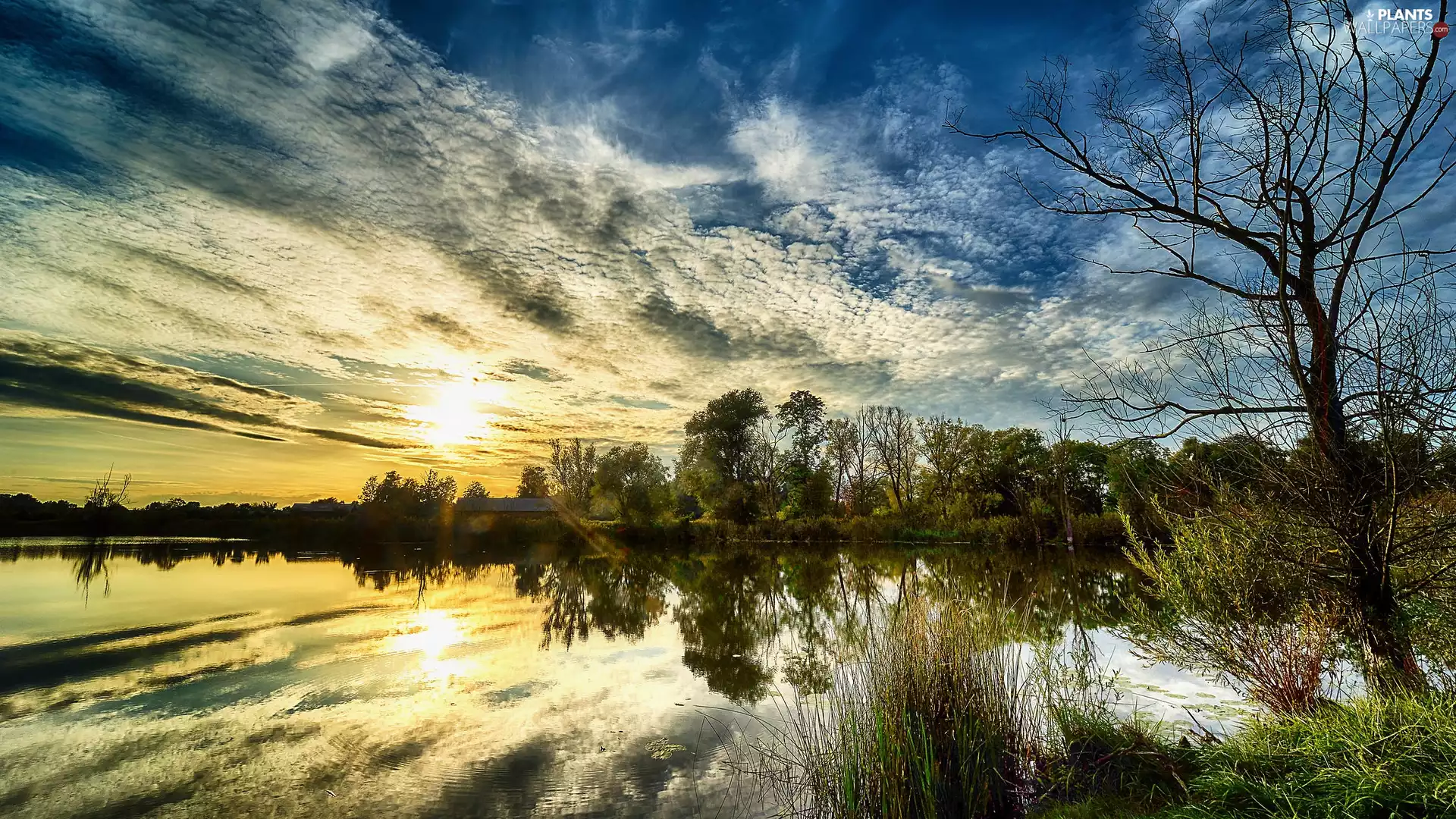 viewes, Sunrise, Sky, trees, River, house, clouds
