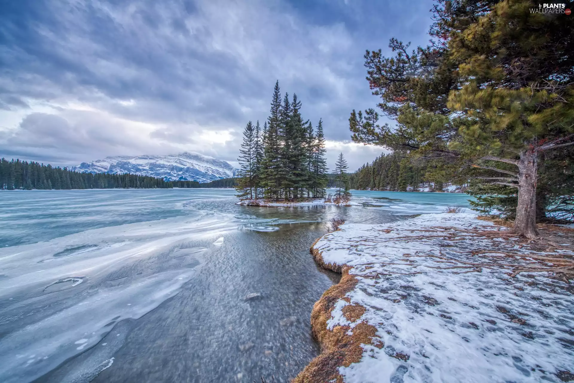 viewes, coast, snow, trees, lake, Mountains, winter