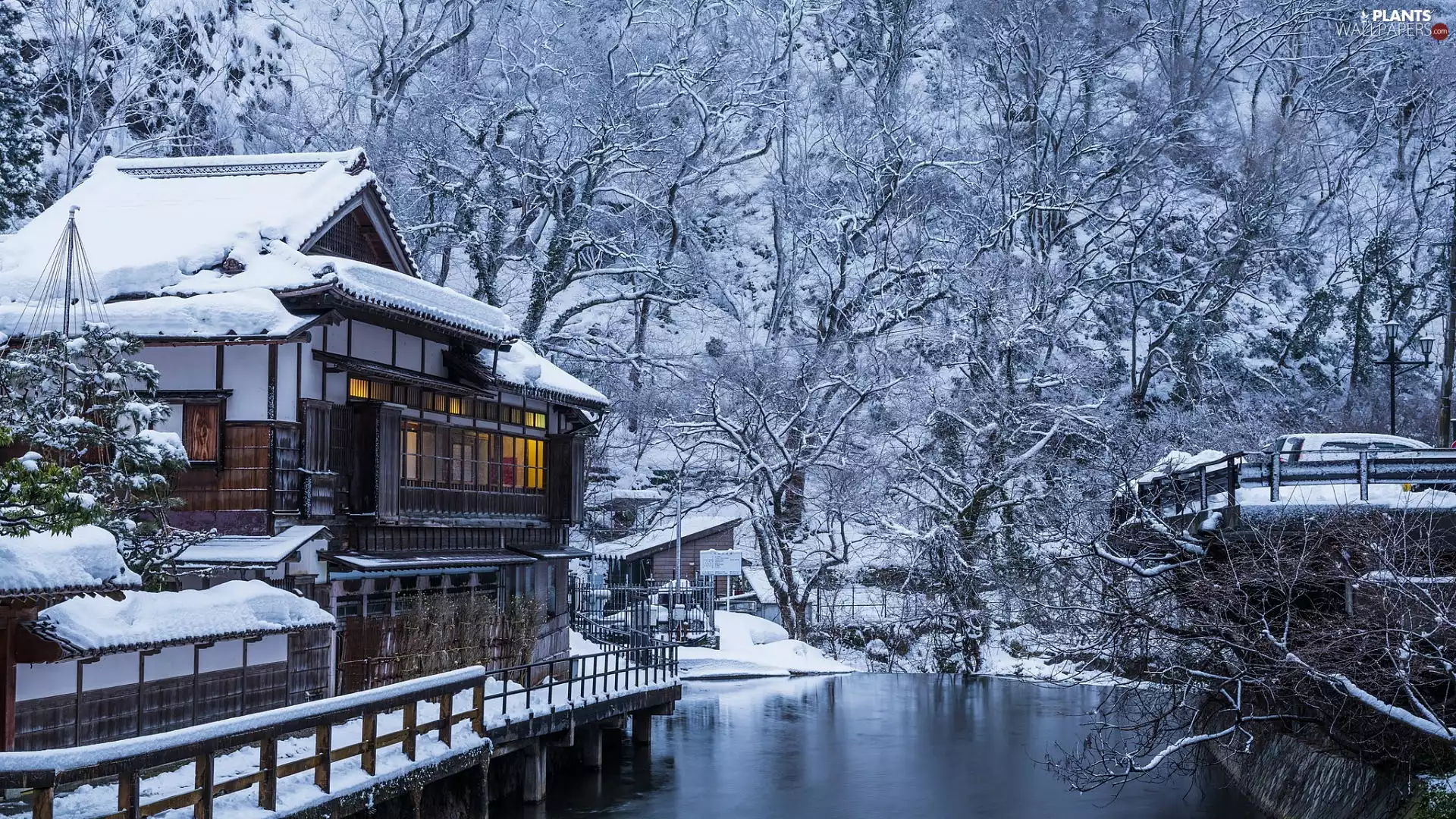 viewes, house, snow, trees, japanese, winter, River
