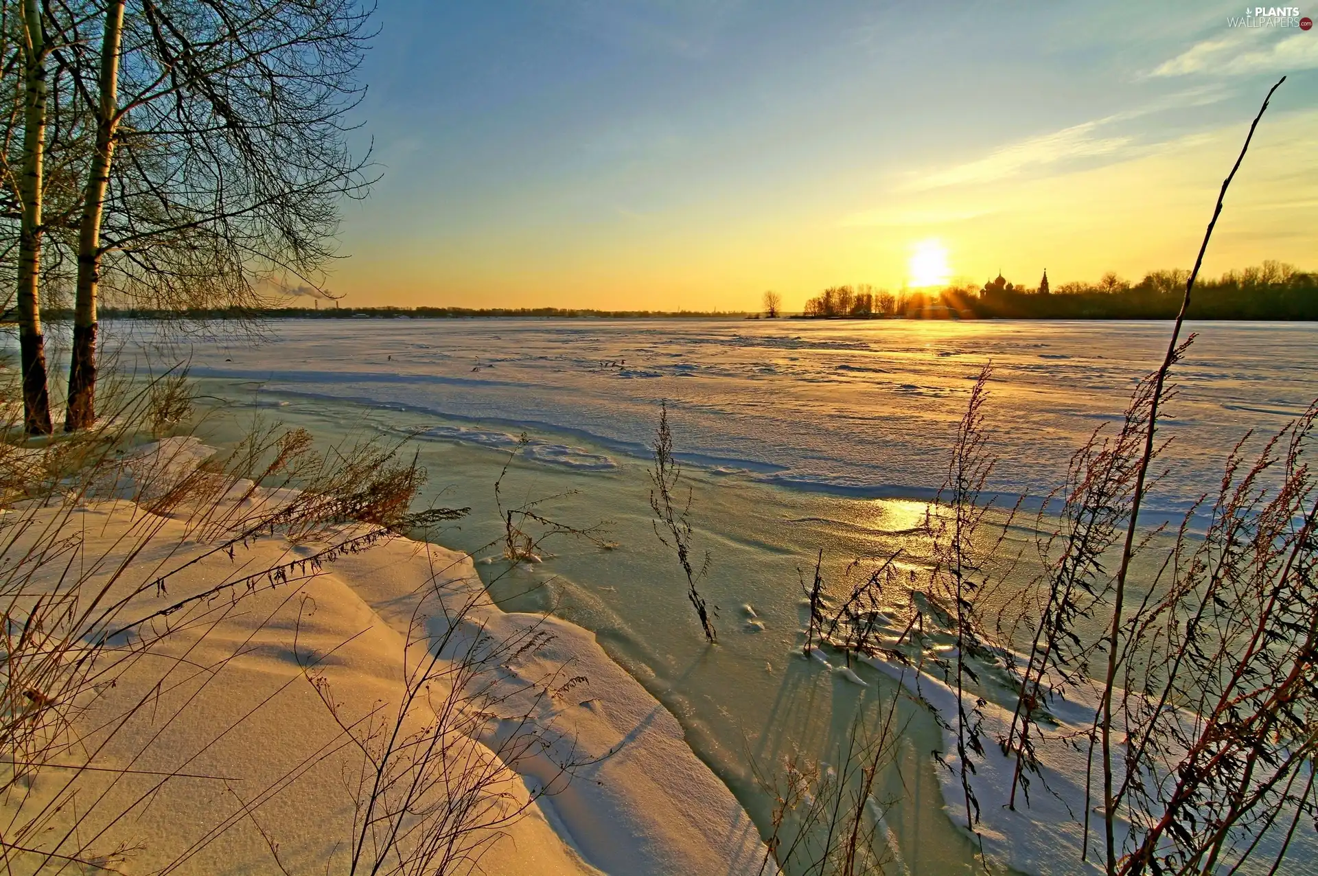 trees, snow, sun, lake, west