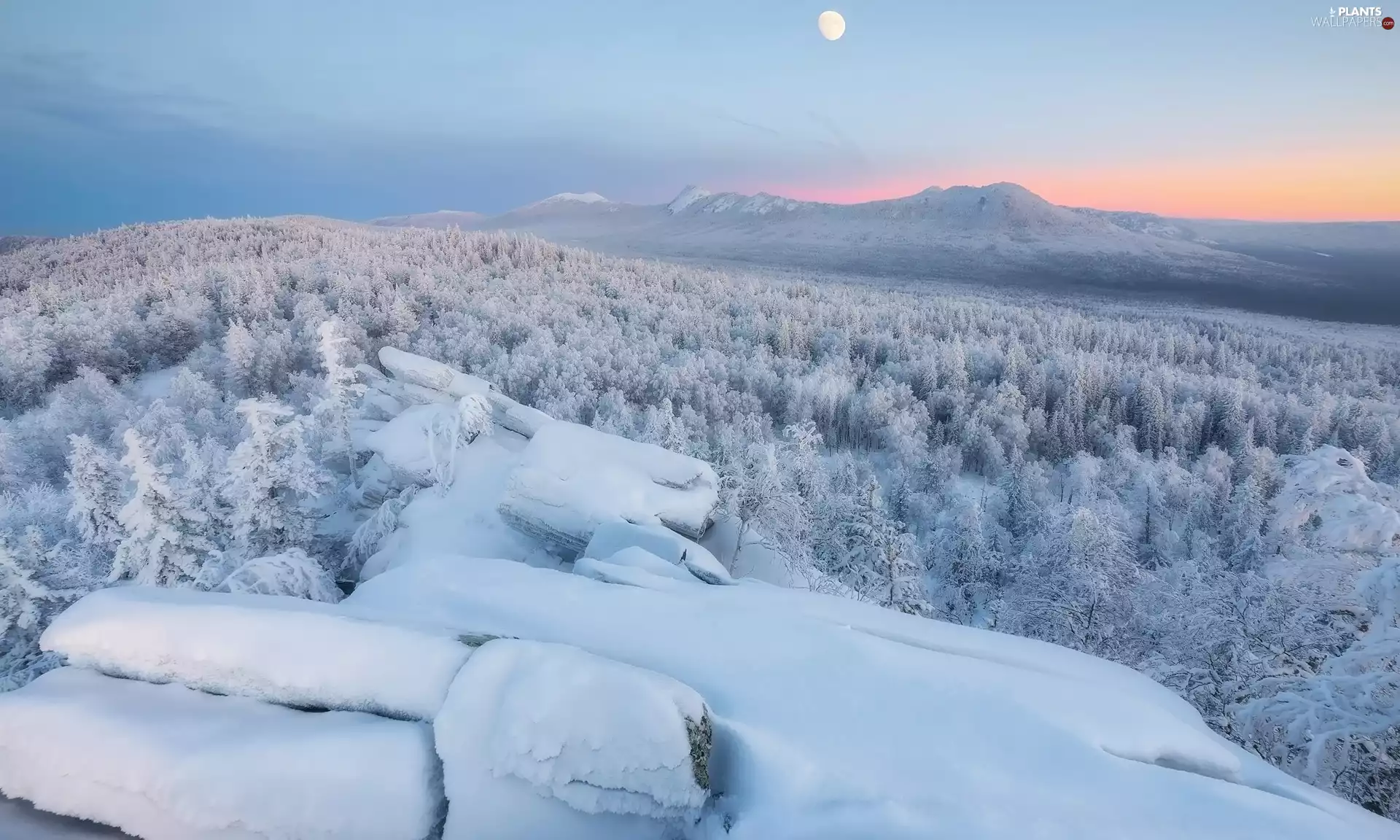 viewes, snow, Snowy, trees, winter, Mountains, rocks