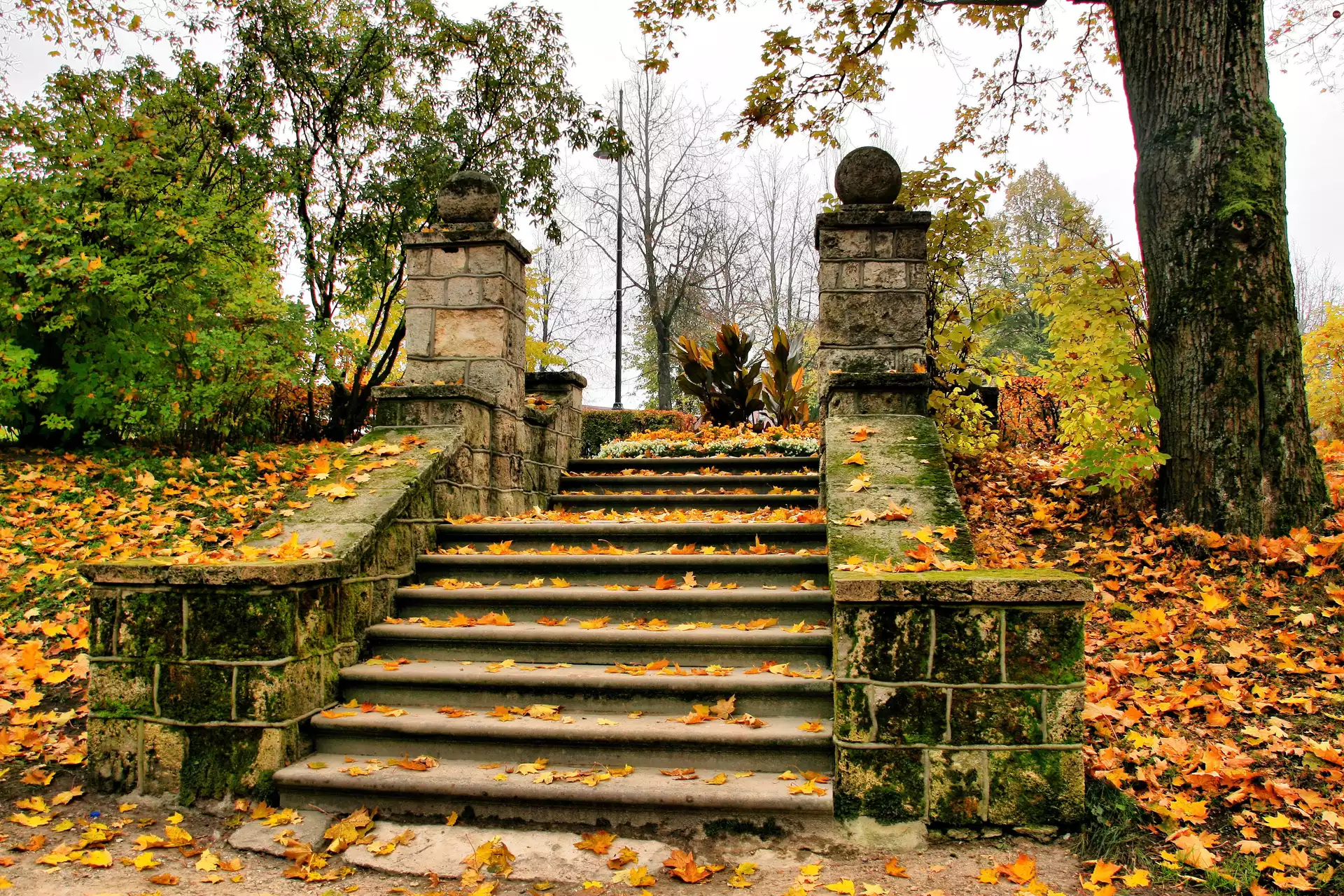 viewes, Park, Stairs, trees, autumn, Leaf, Gate
