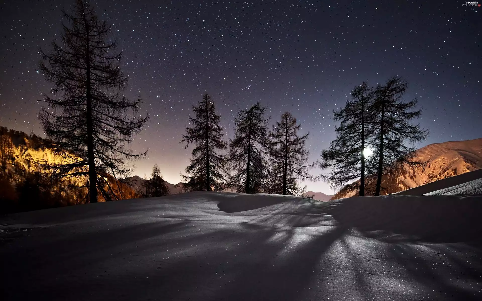 viewes, Mountains, star, trees, winter, Sky, moon
