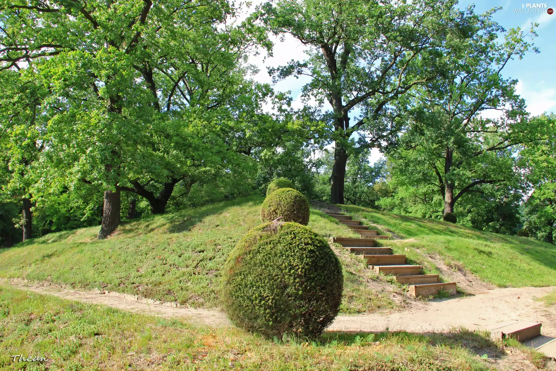 viewes, Bush, Stone, trees, Parks, grass, Stairs