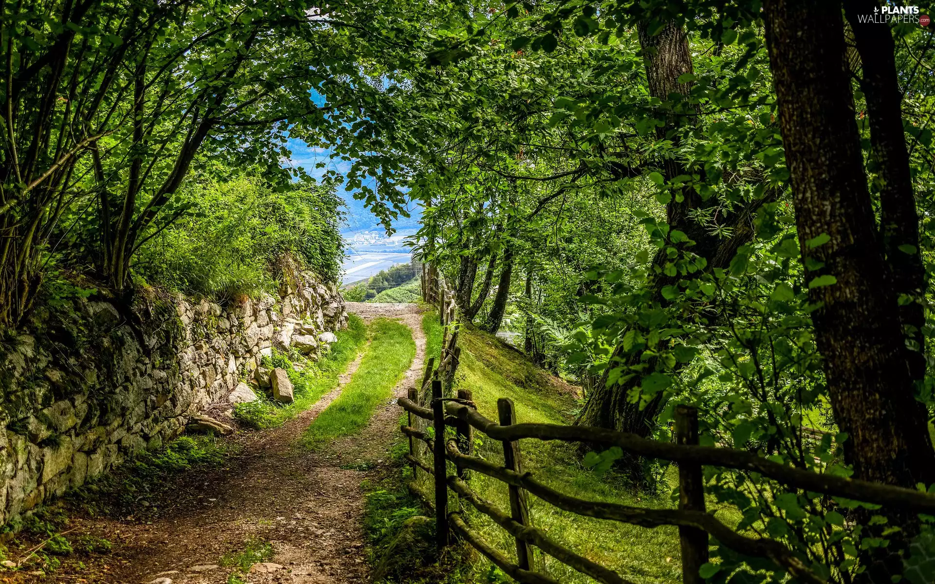 viewes, summer, stone, trees, Way, fence, wall