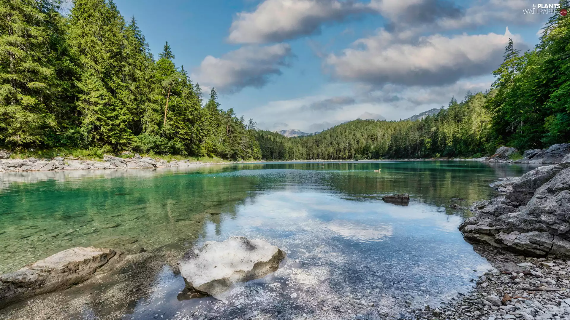 viewes, forest, Stones, trees, Mountains, lake, clouds