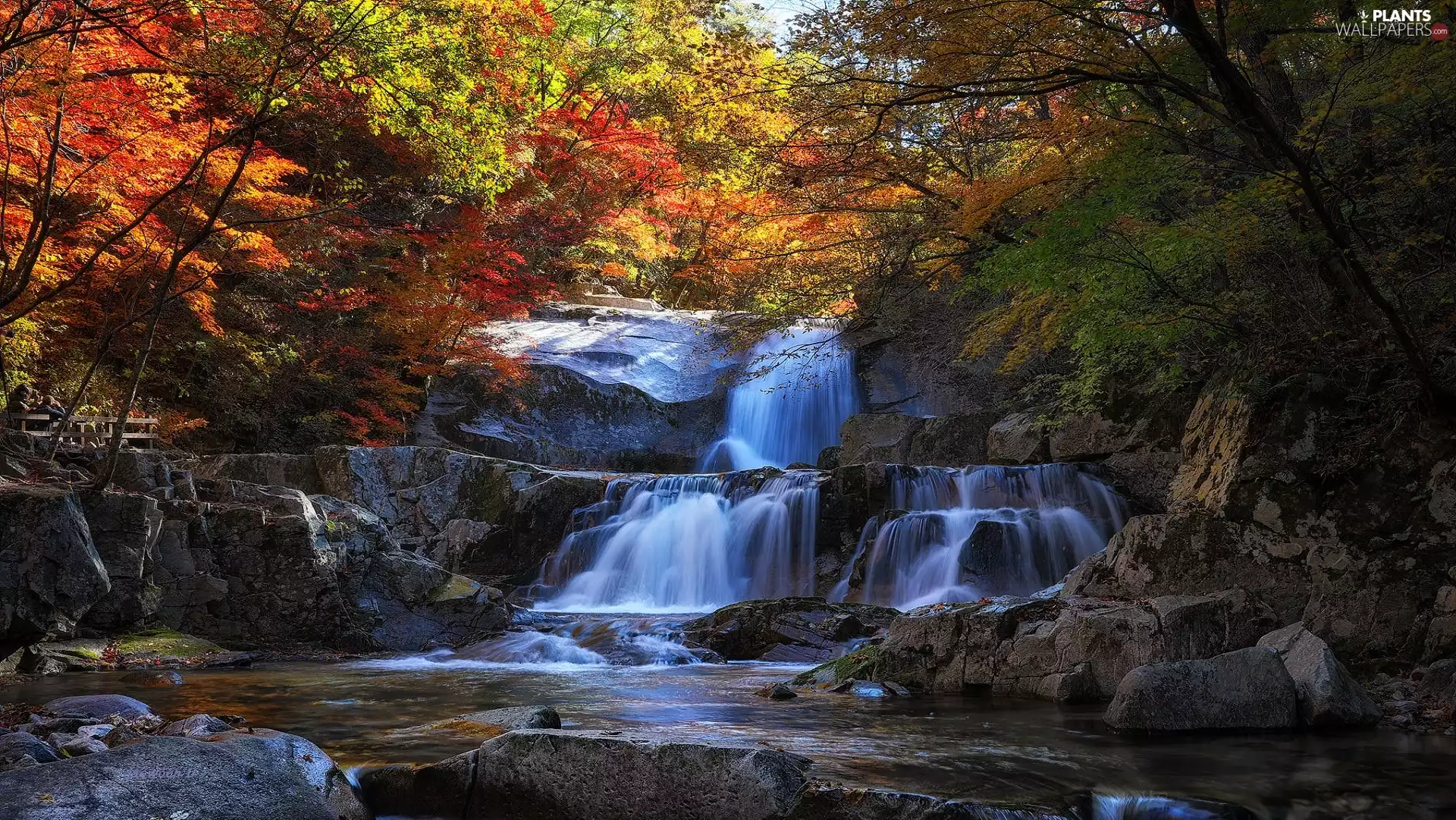 viewes, forest, Stones, trees, autumn, waterfall, rocks