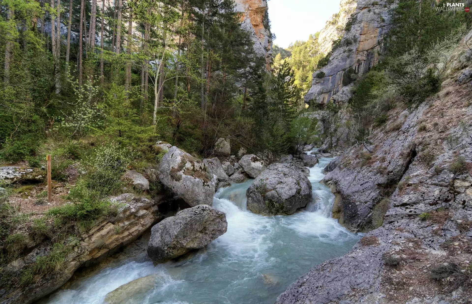 viewes, rocks, Stones, trees, Mountains, boulders, River