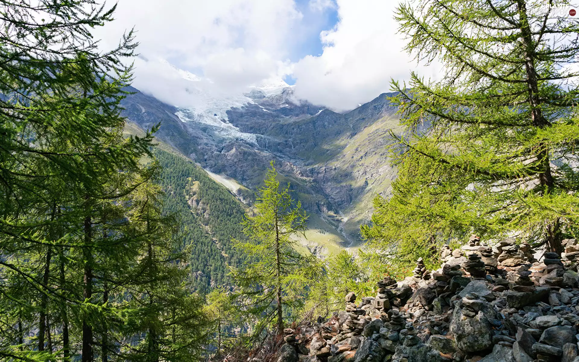 viewes, Valley, Stones, trees, Mountains, Spruces, clouds
