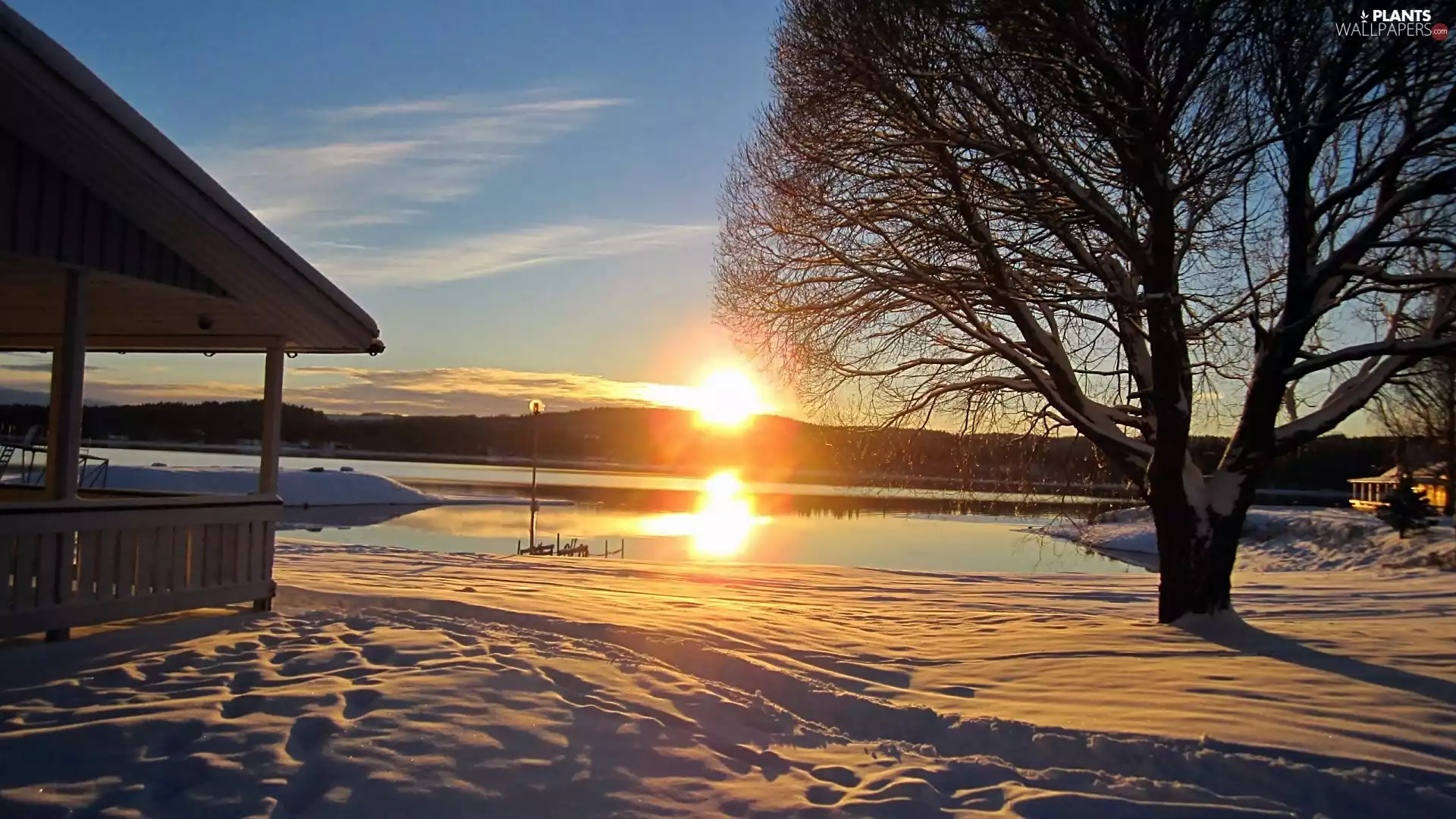 Houses, trees, sun, lake, east