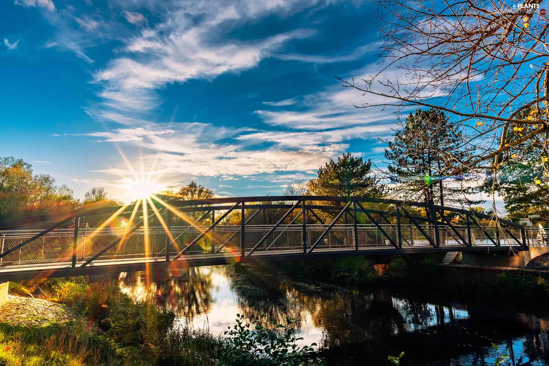 viewes, River, sun, trees, bridge, rays, Sky