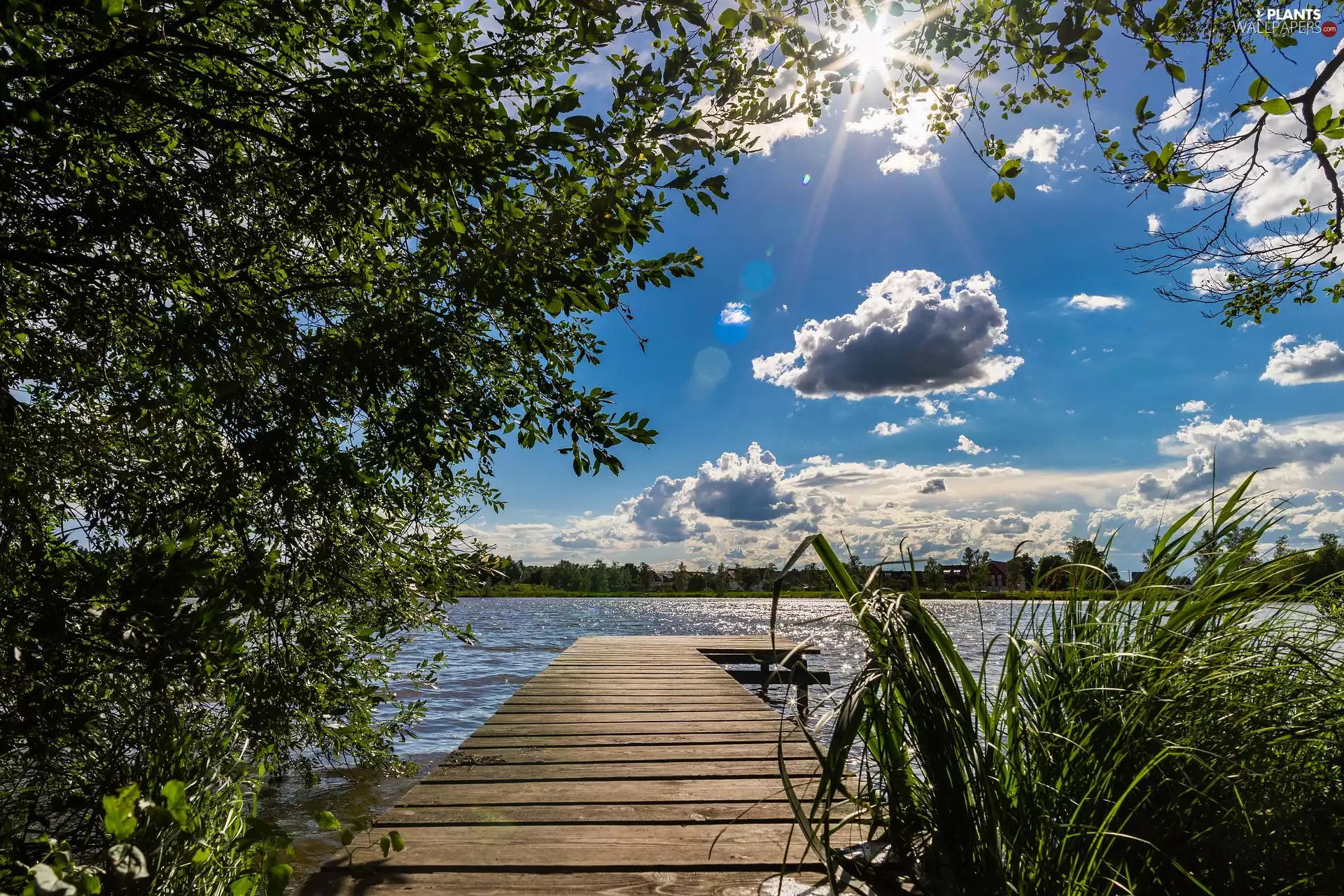 trees, lake, clouds, rays of the Sun, rushes, Platform