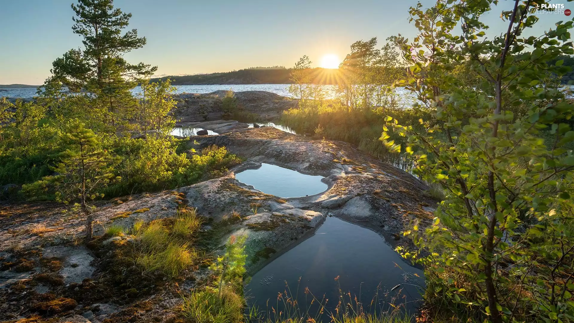 trees, lake, scrub, rays of the Sun, viewes, rocks