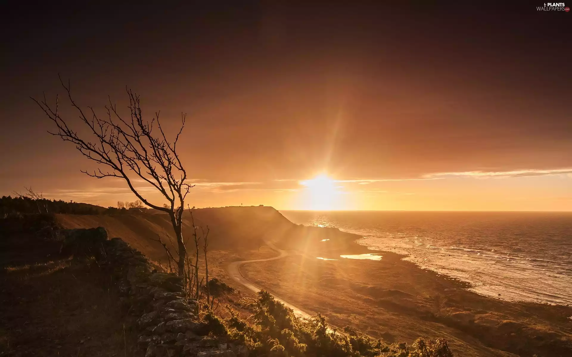 sea, west, Way, trees, Beaches, sun