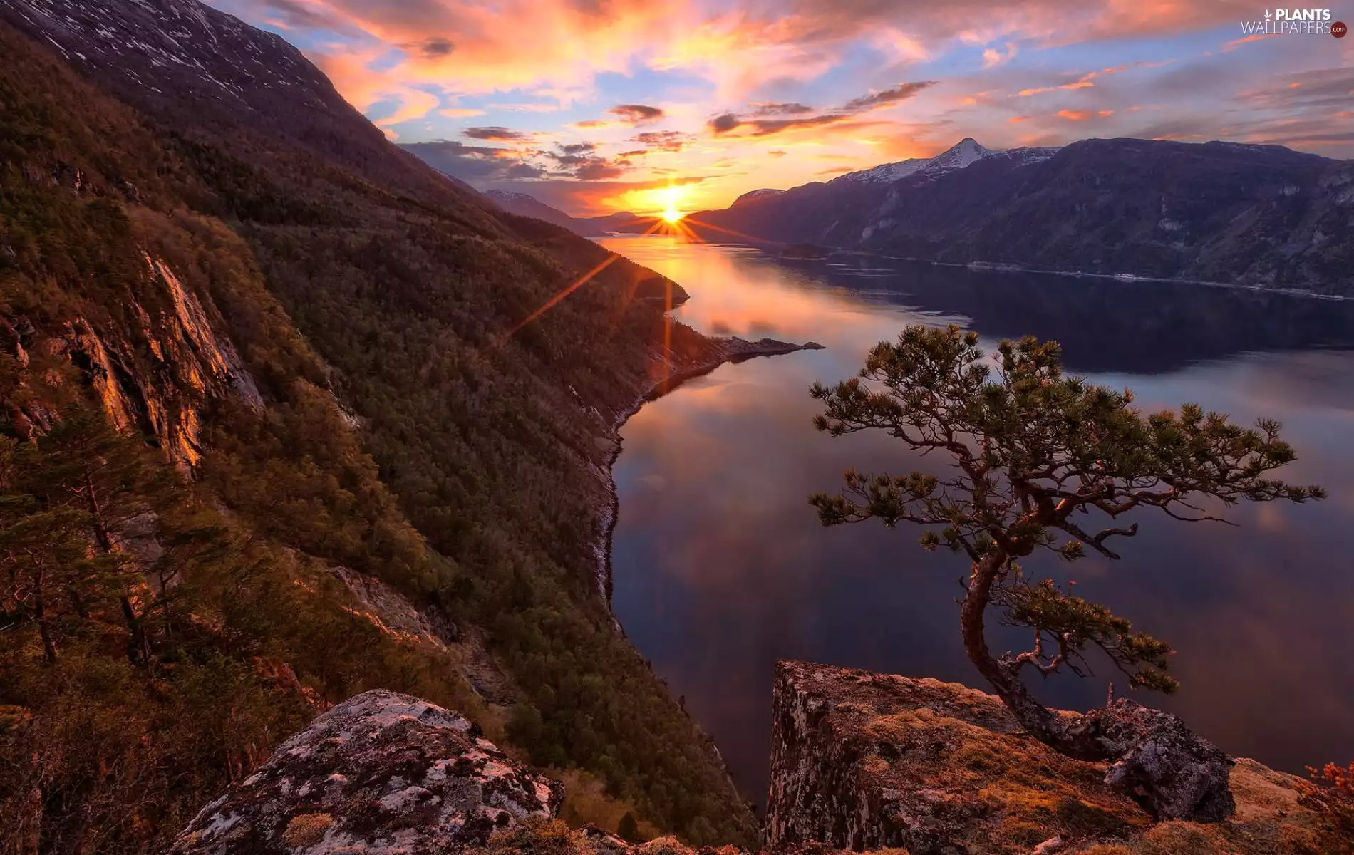 Mountains, trees, sun, River, west