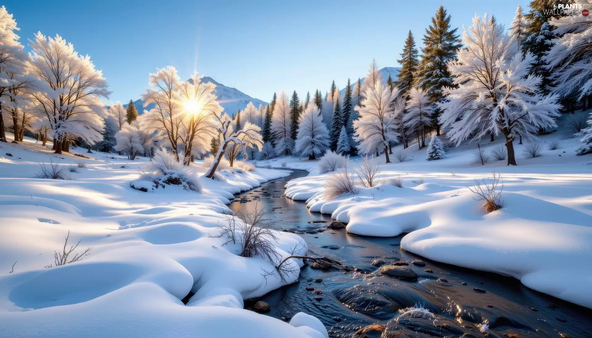 snow, forest, Sunrise, Snowy, viewes, flux, winter, trees