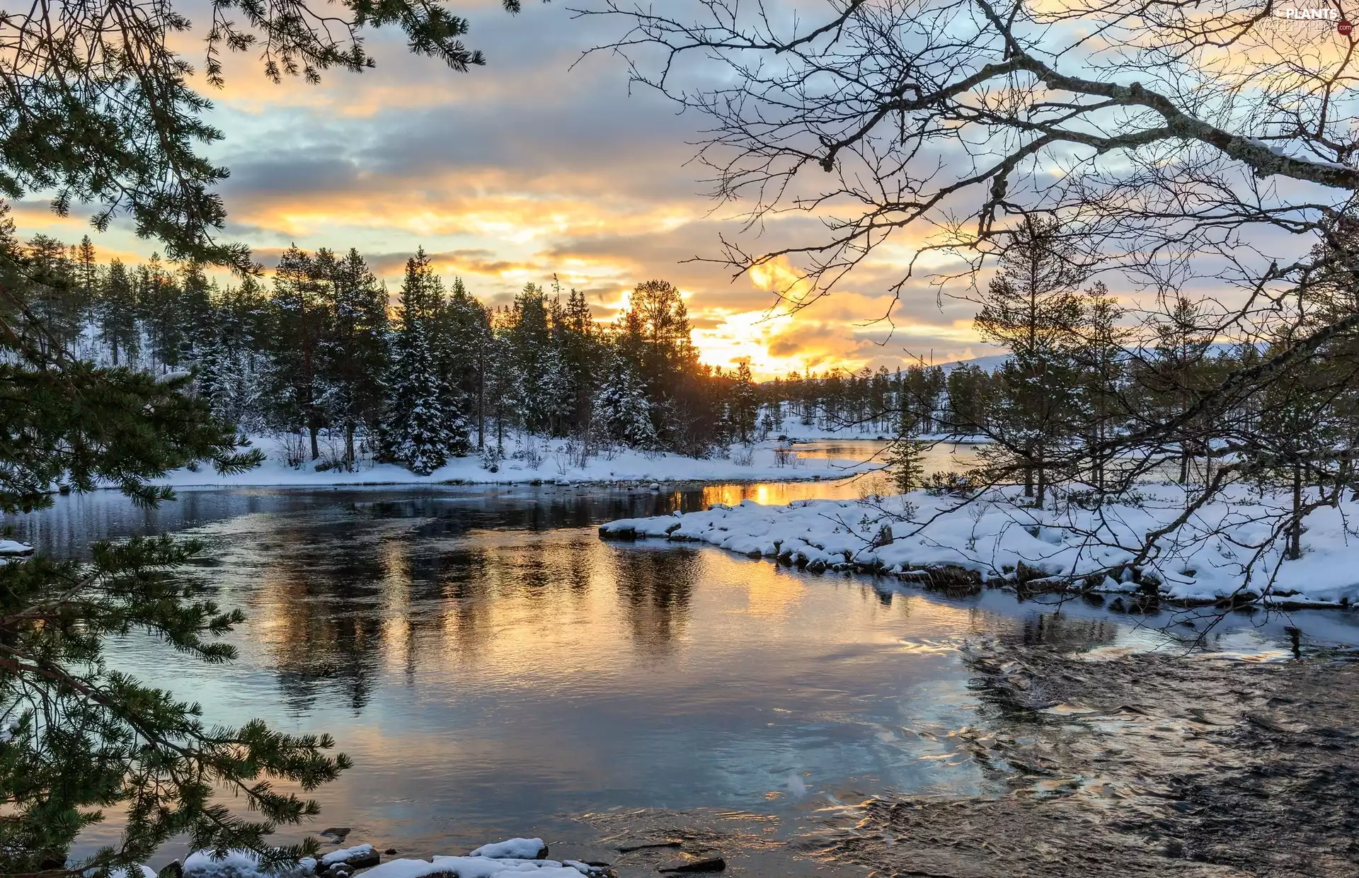 viewes, River, Sunrise, trees, winter, forest, clouds