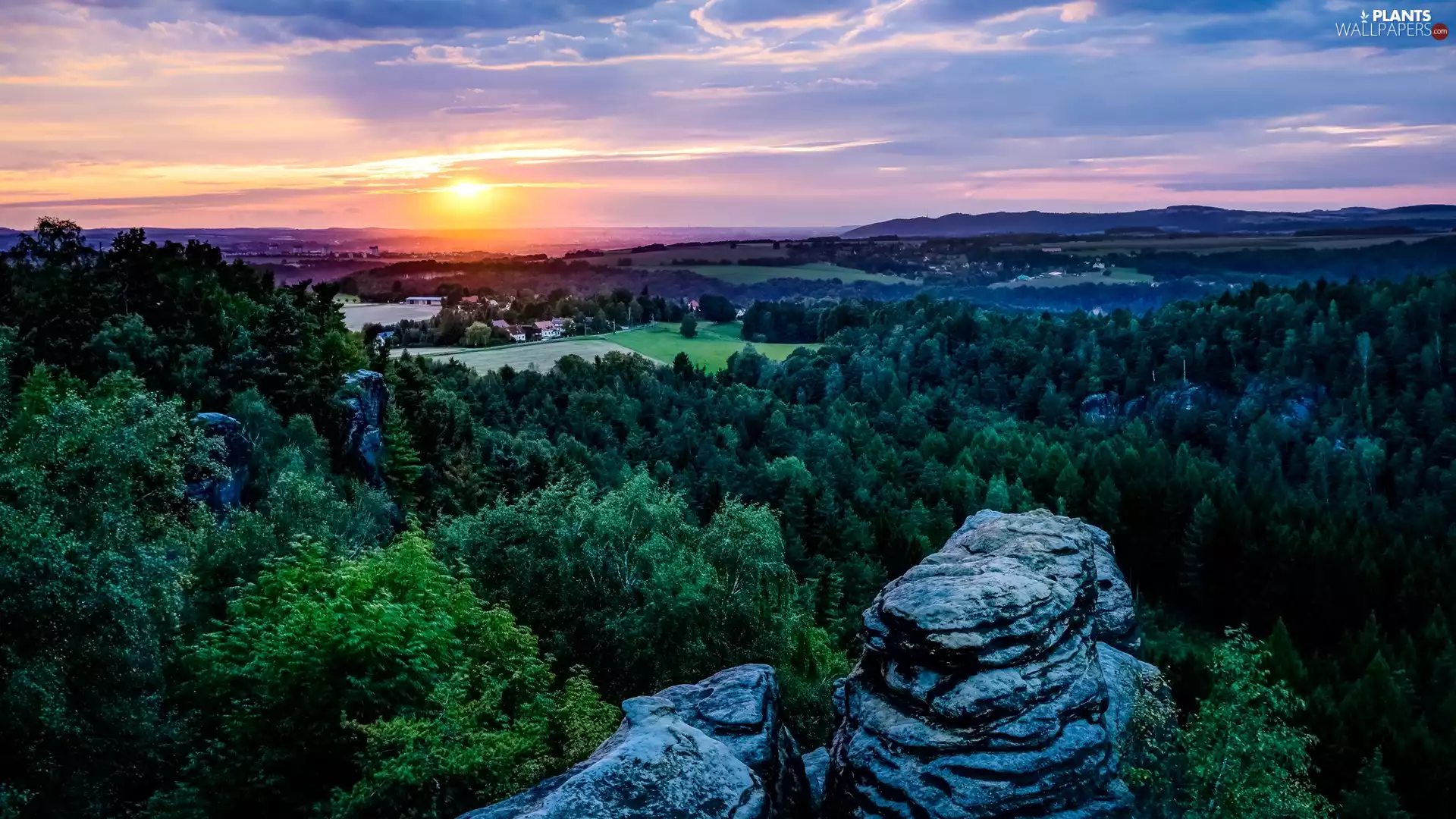 trees, Saxon Switzerland National Park, rocks, Sunrise, viewes, Germany