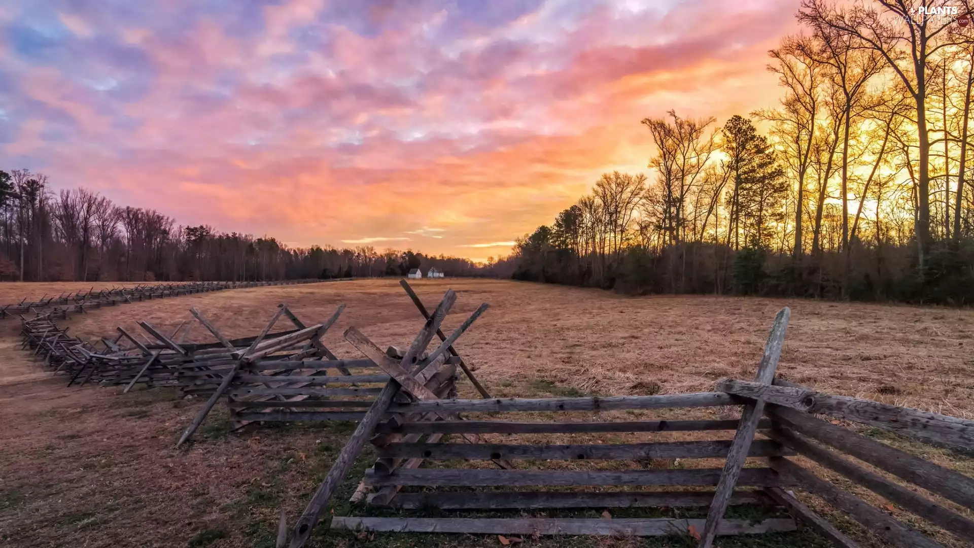 fence, Great Sunsets, trees, viewes, Houses, Field