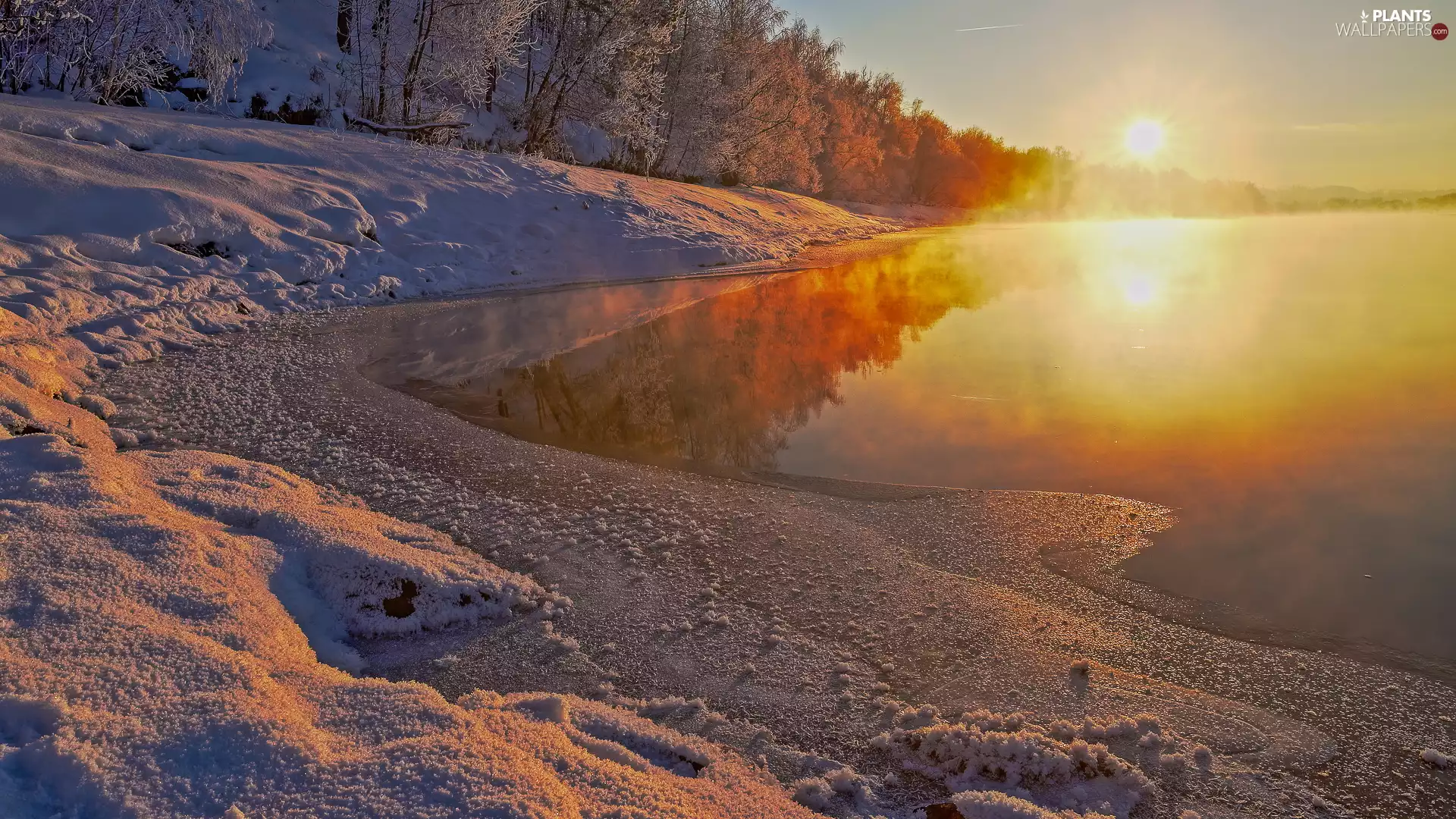 winter, Great Sunsets, trees, viewes, Snowy, lake
