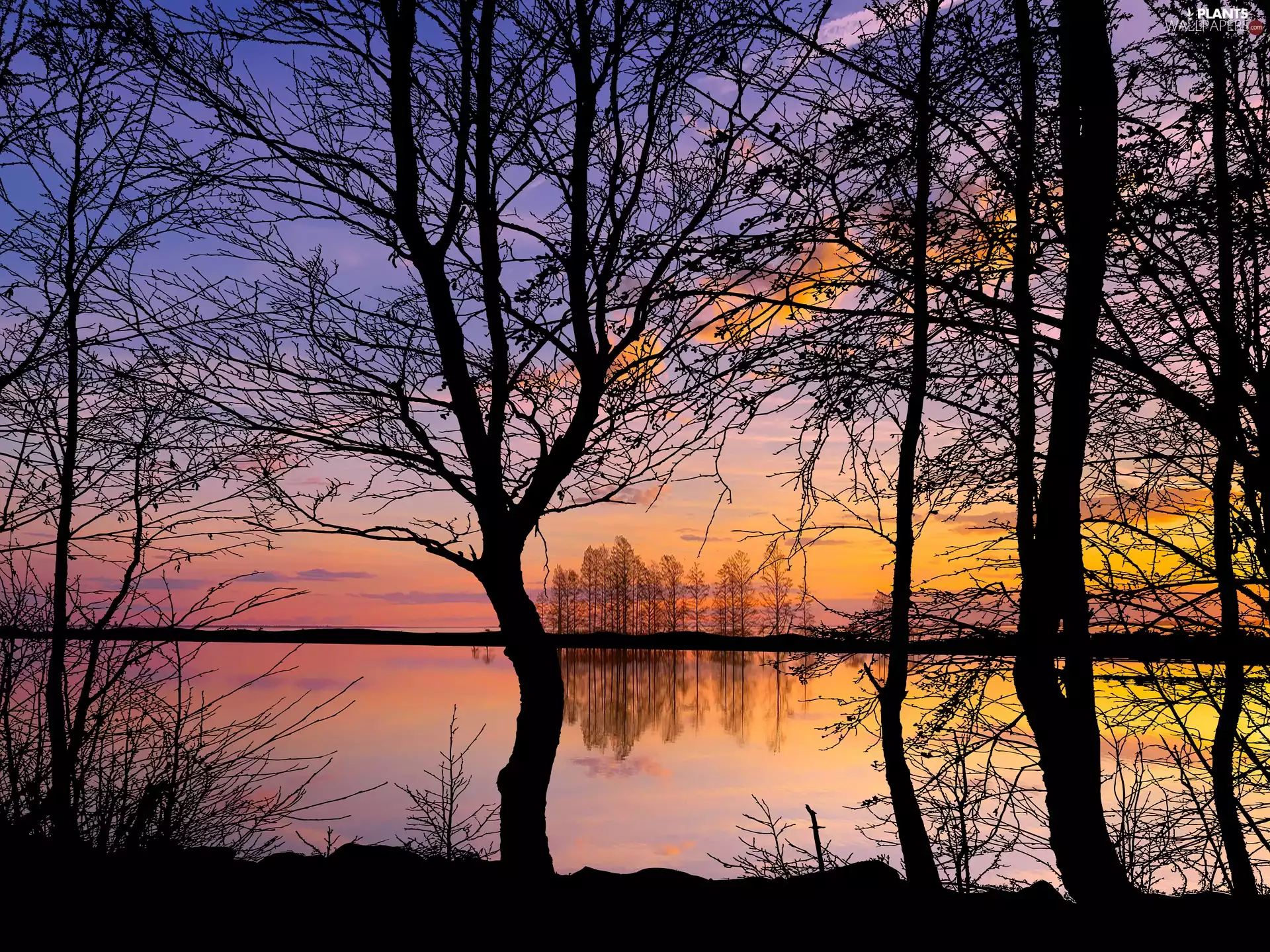 Sky, Great Sunsets, trees, viewes, lake, Orange