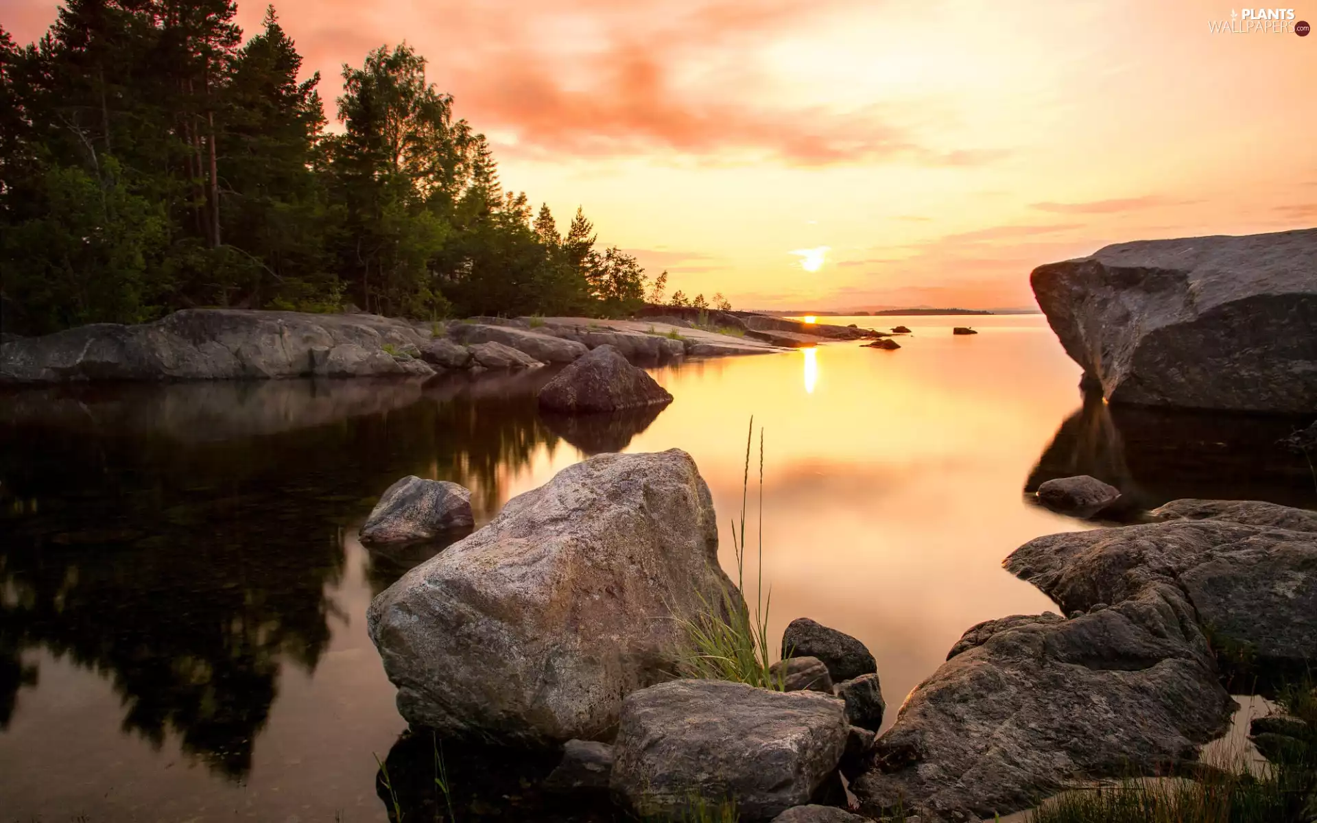 rocks, Great Sunsets, trees, viewes, Stones, sea