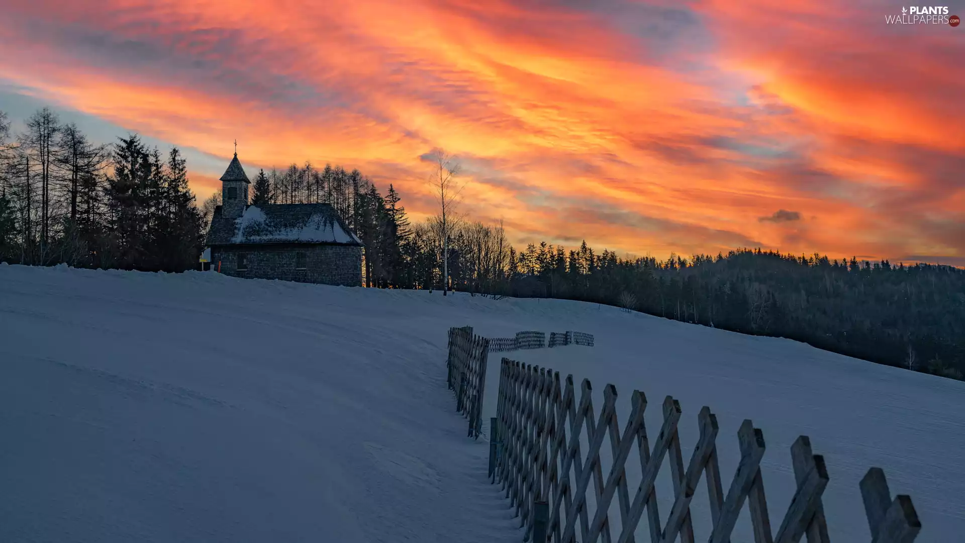trees, viewes, Fance, forest, fence, Great Sunsets, winter, Church