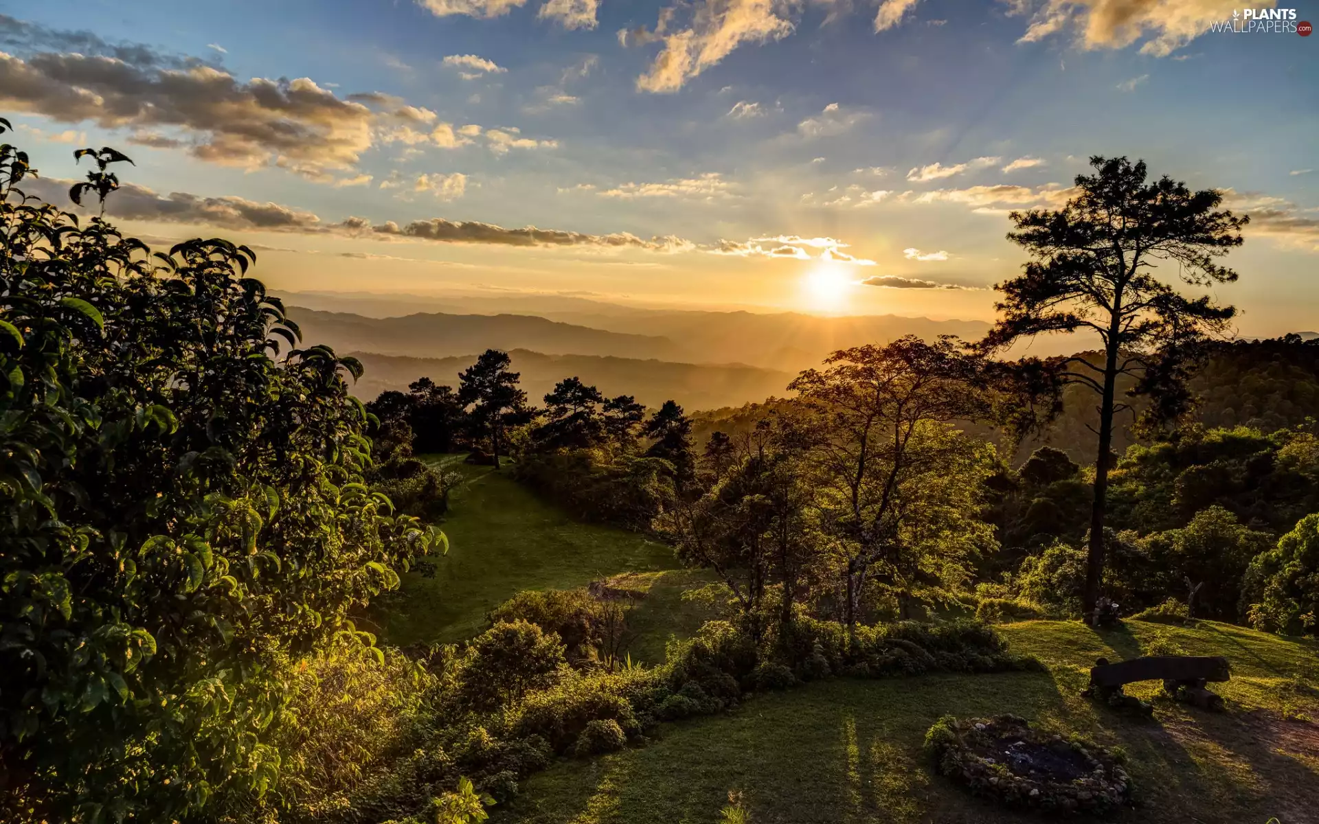 trees, viewes, Huai Nam Dang National Park, Great Sunsets, Thailand