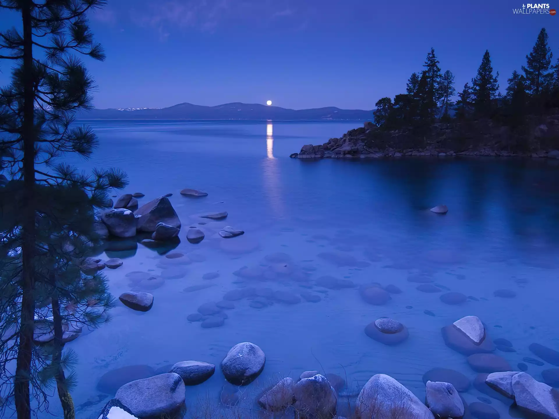 viewes, Stones, Tahoe, trees, lake, Night, California