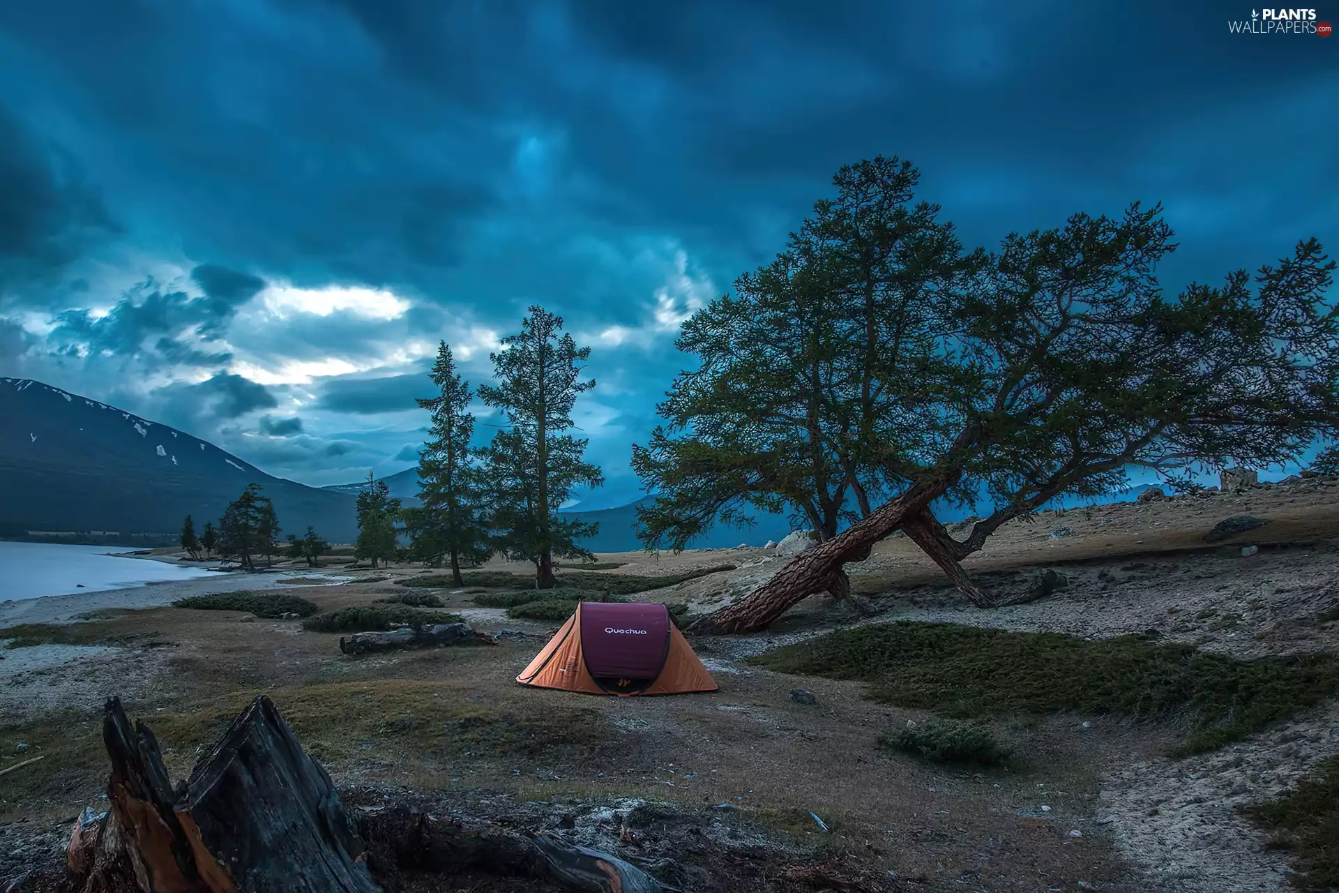 viewes, lake, Tent, trees, Mountains, Field, clouds
