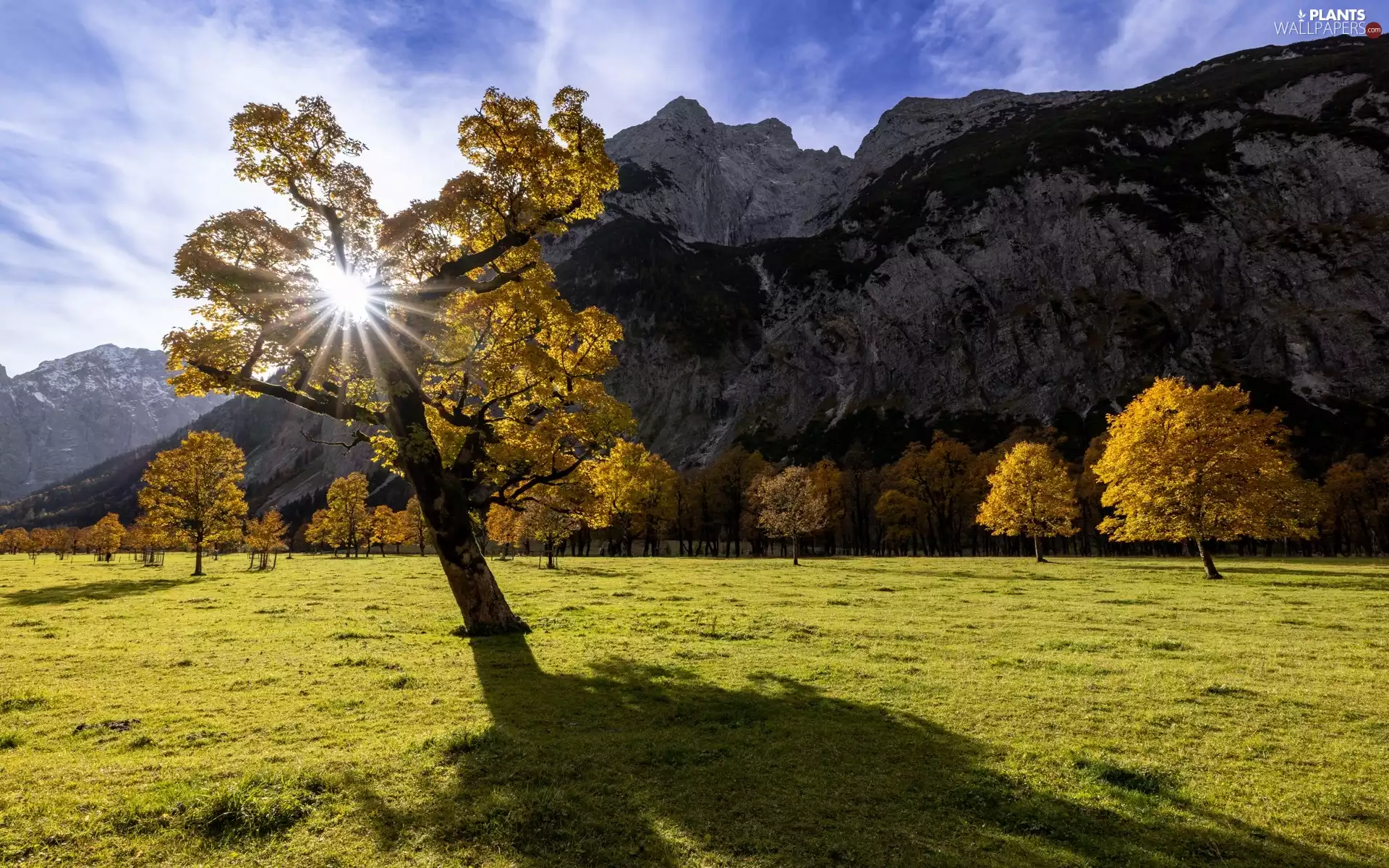 trees, Dolomites, autumn, forest, Mountains, viewes, rays of the Sun
