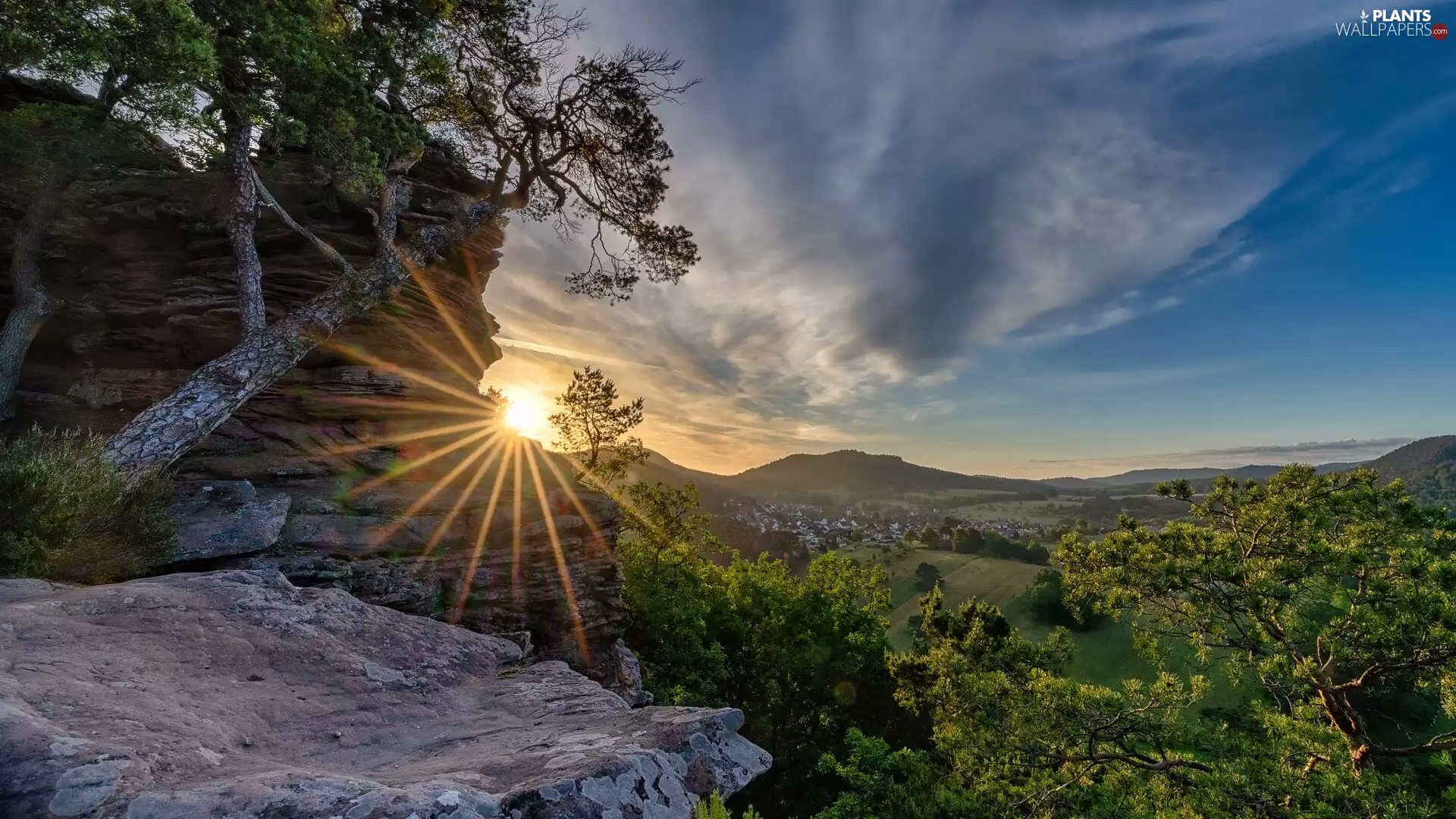 trees, rocks, Conifers, colony, Mountains, viewes, rays of the Sun