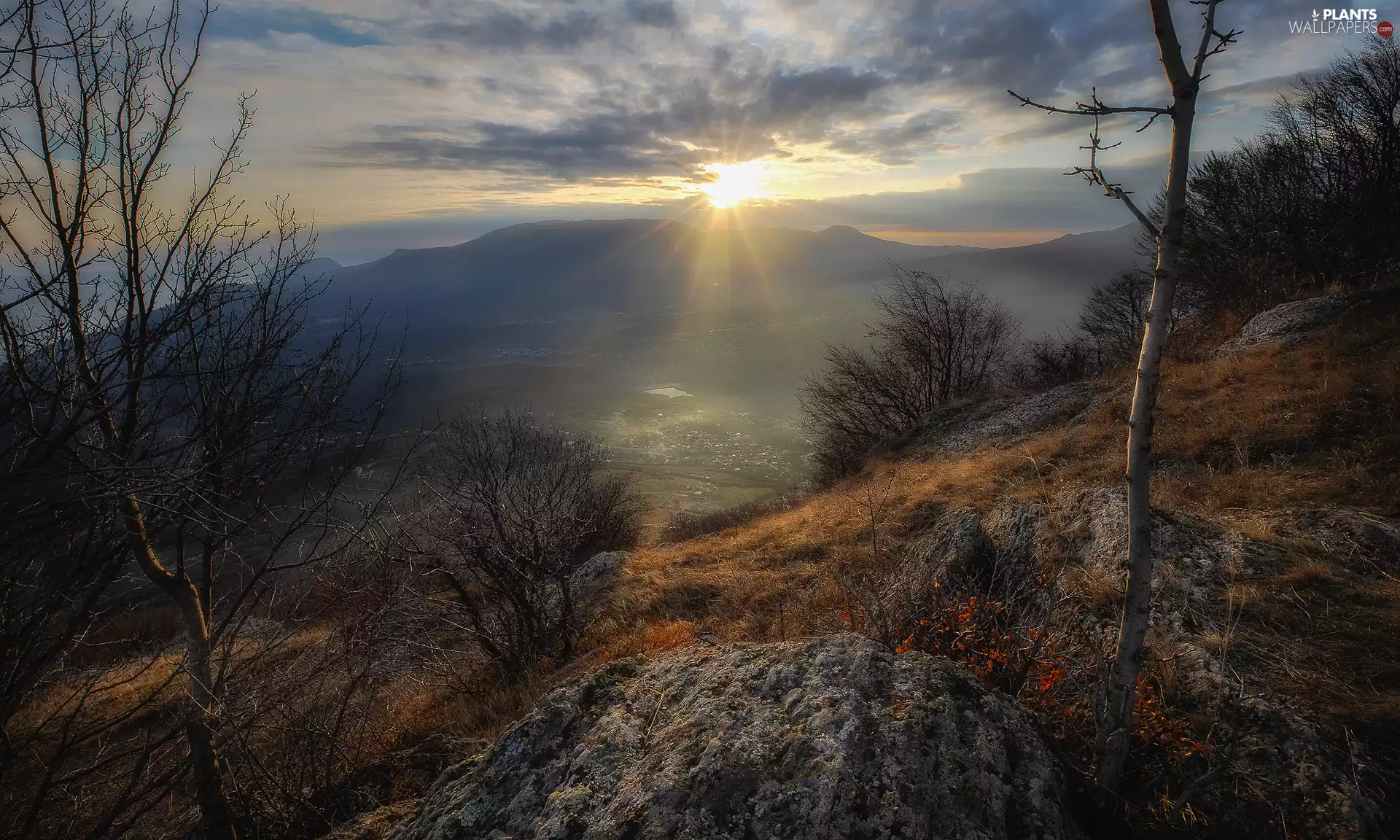 trees, Mountains, Plants, rocks, autumn, viewes, rays of the Sun