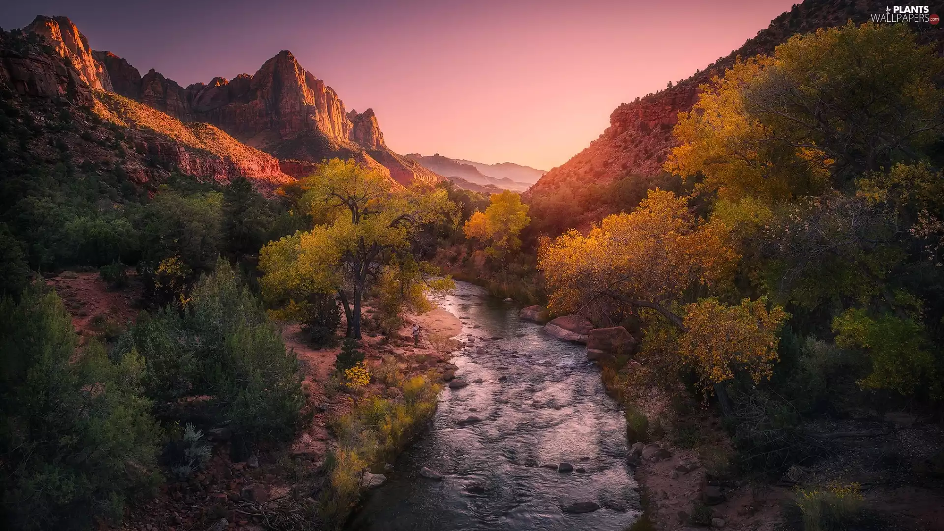 autumn, Mountain Watchman, Virgin River, Utah, trees, Mountains, River, The United States, Zion National Park, viewes
