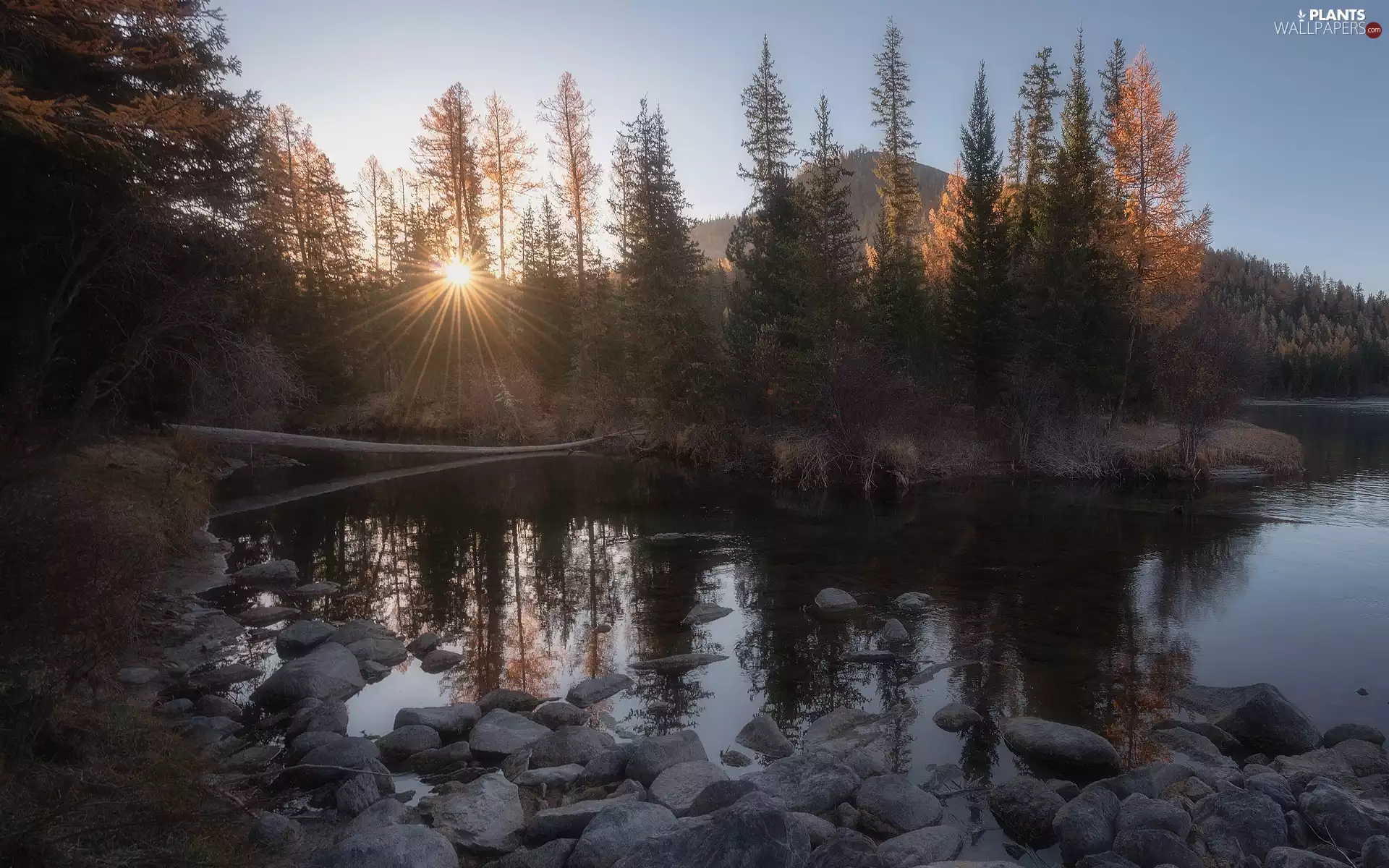 trees, River, Stones, autumn, mountains, viewes, rays of the Sun