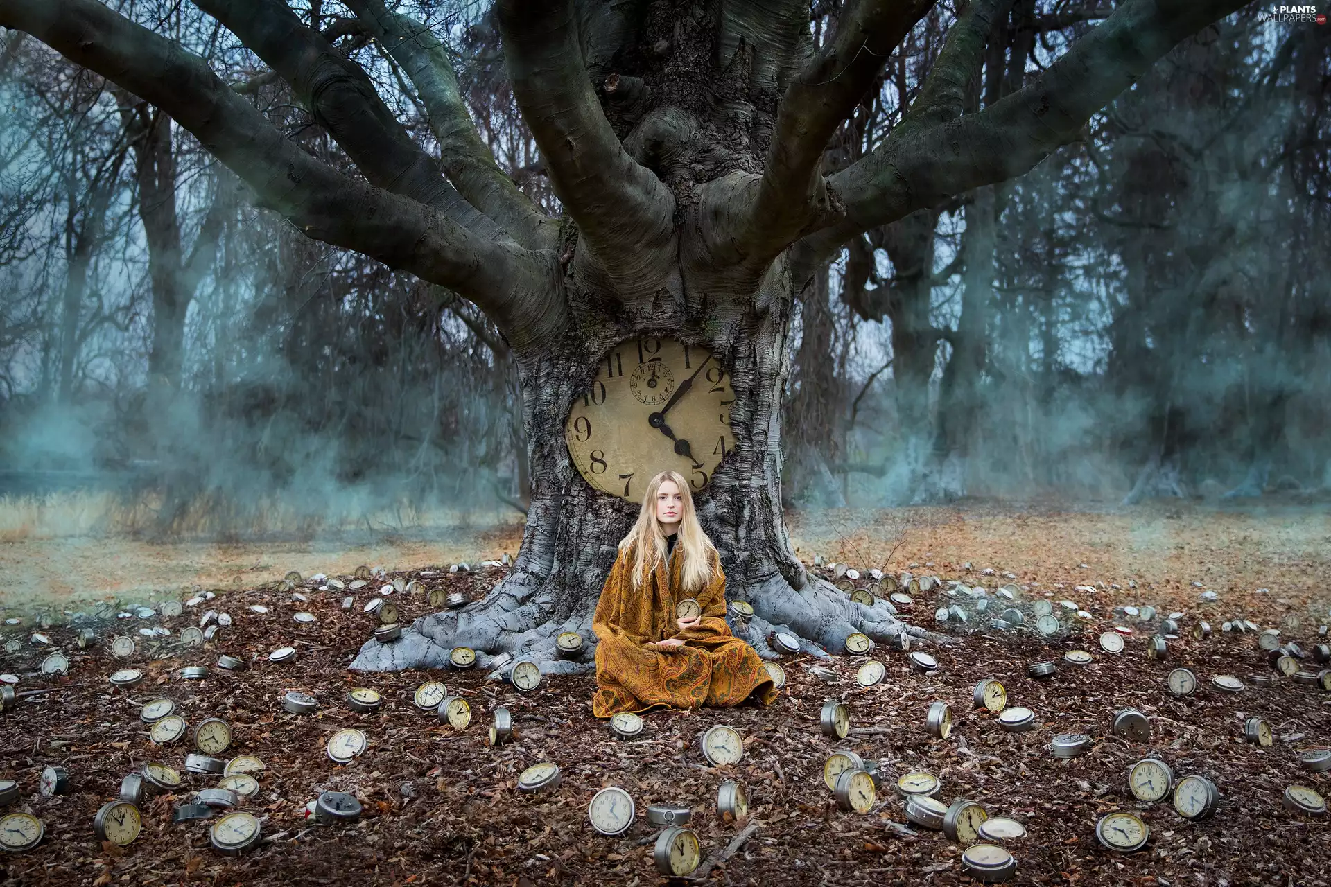 coverlet, forest, time, Fog, clocks, Blonde, Women, trees