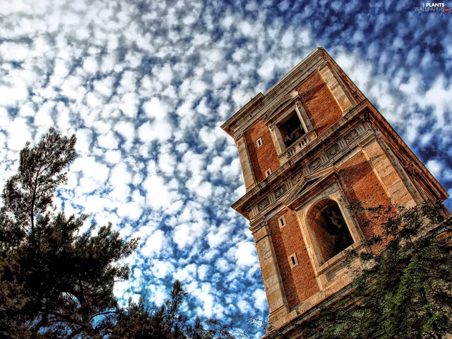 tower, viewes, clouds, trees
