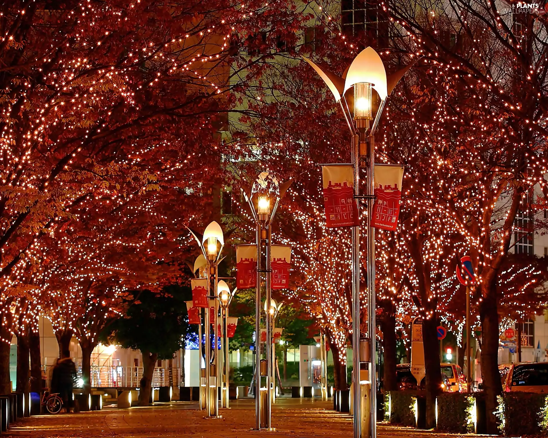 festively decorated, Town, trees, viewes, illuminated, night
