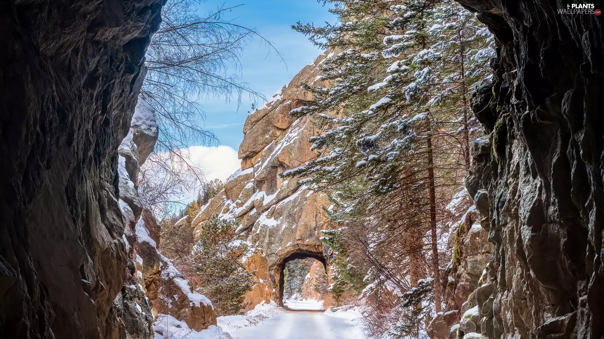 viewes, Mountains, tunnel, trees, winter, Way, Rocks