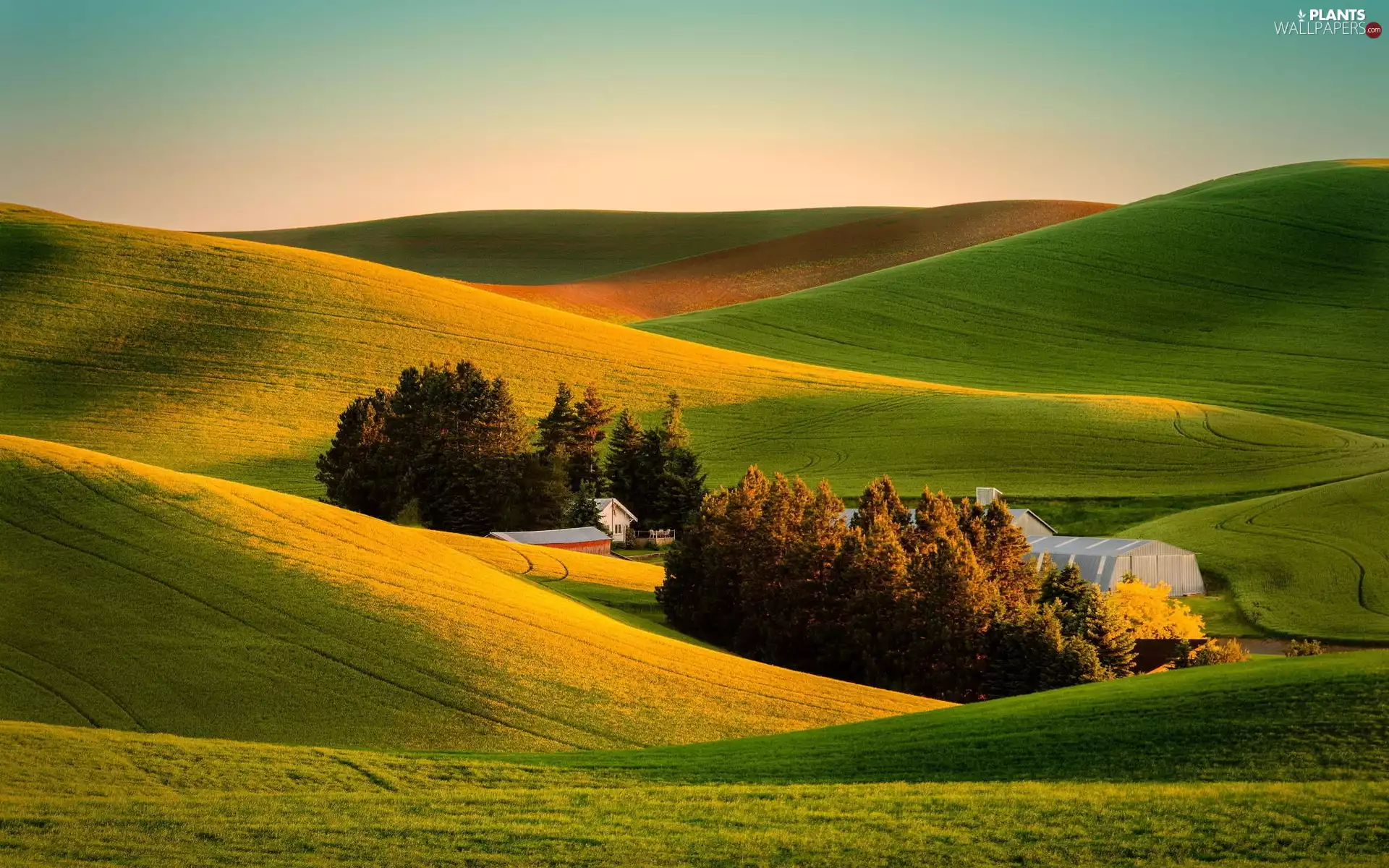 viewes, Farms, Tuscany, trees, medows, Houses, Italy