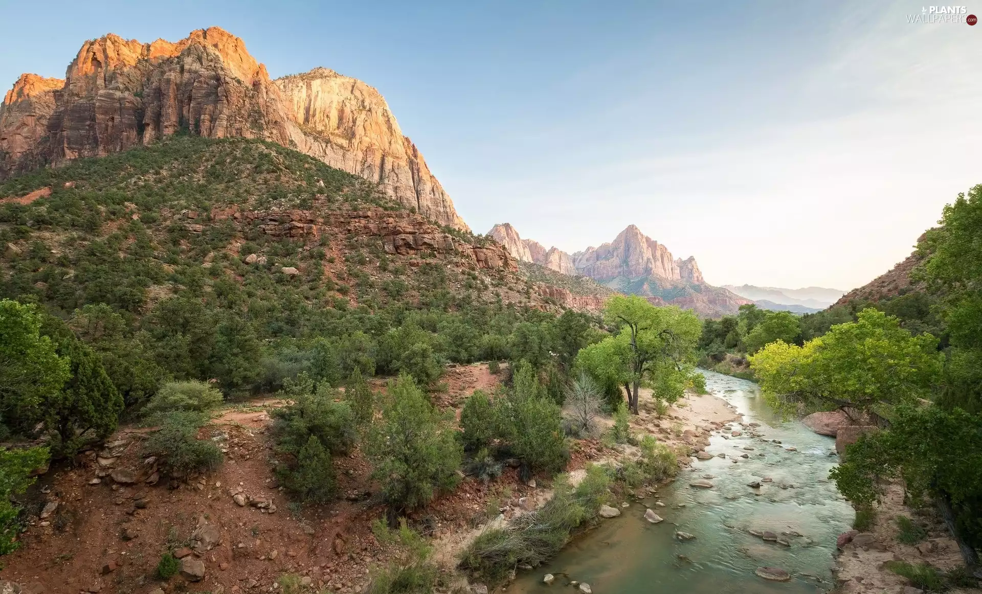 Zion National Park, Mountain Watchman, viewes, Mountains, trees, Utah State, The United States, Virgin River