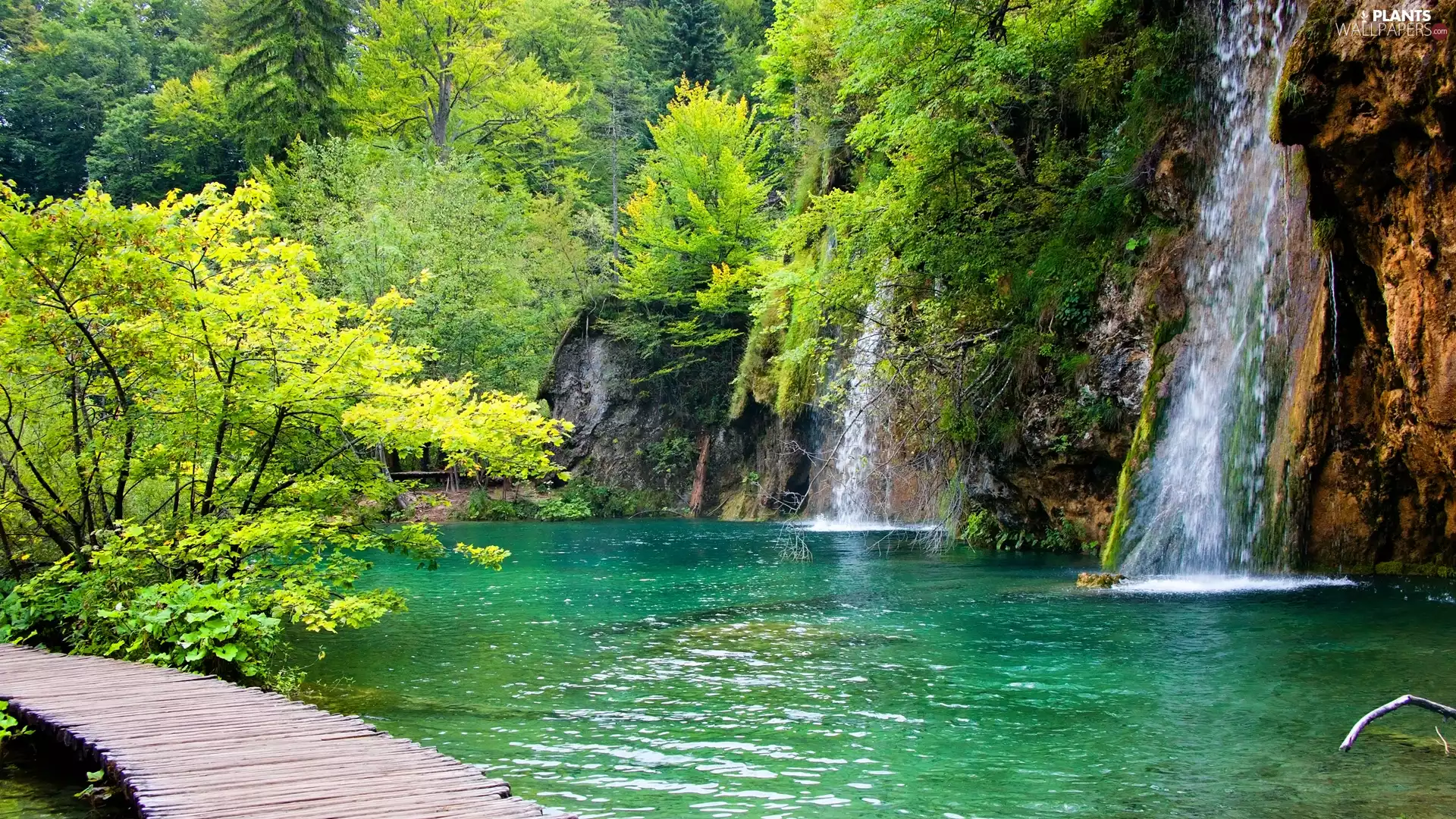 waterfalls, Platform, Plitvice Lakes National Park, trees, VEGETATION, lake, Coartia, viewes