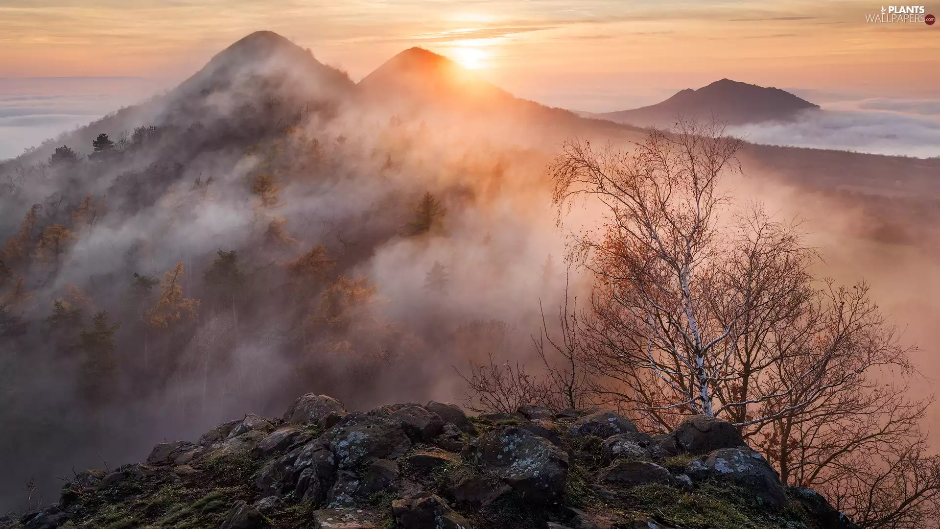 trees, light breaking through sky, autumn, Fog, Mountains, viewes, rocks