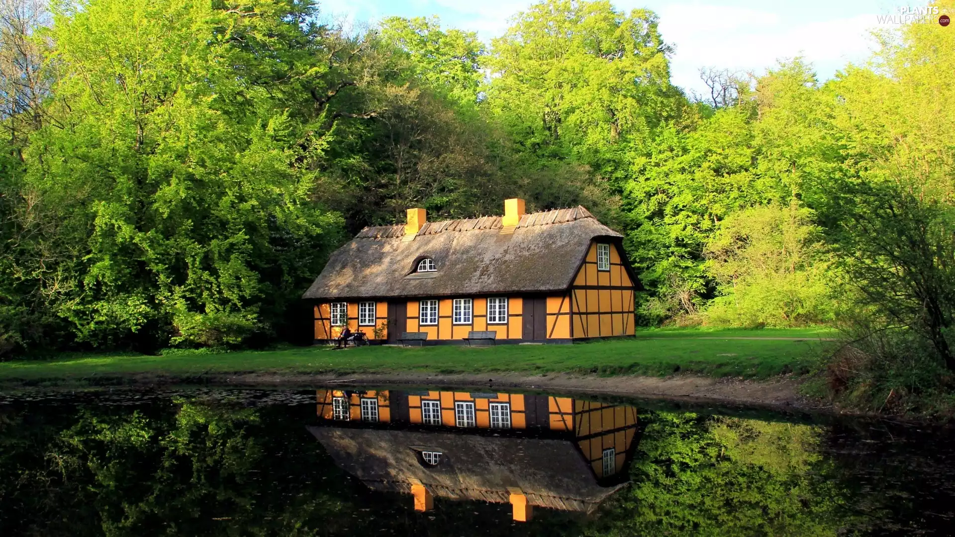 house, trees, viewes, Pond - car