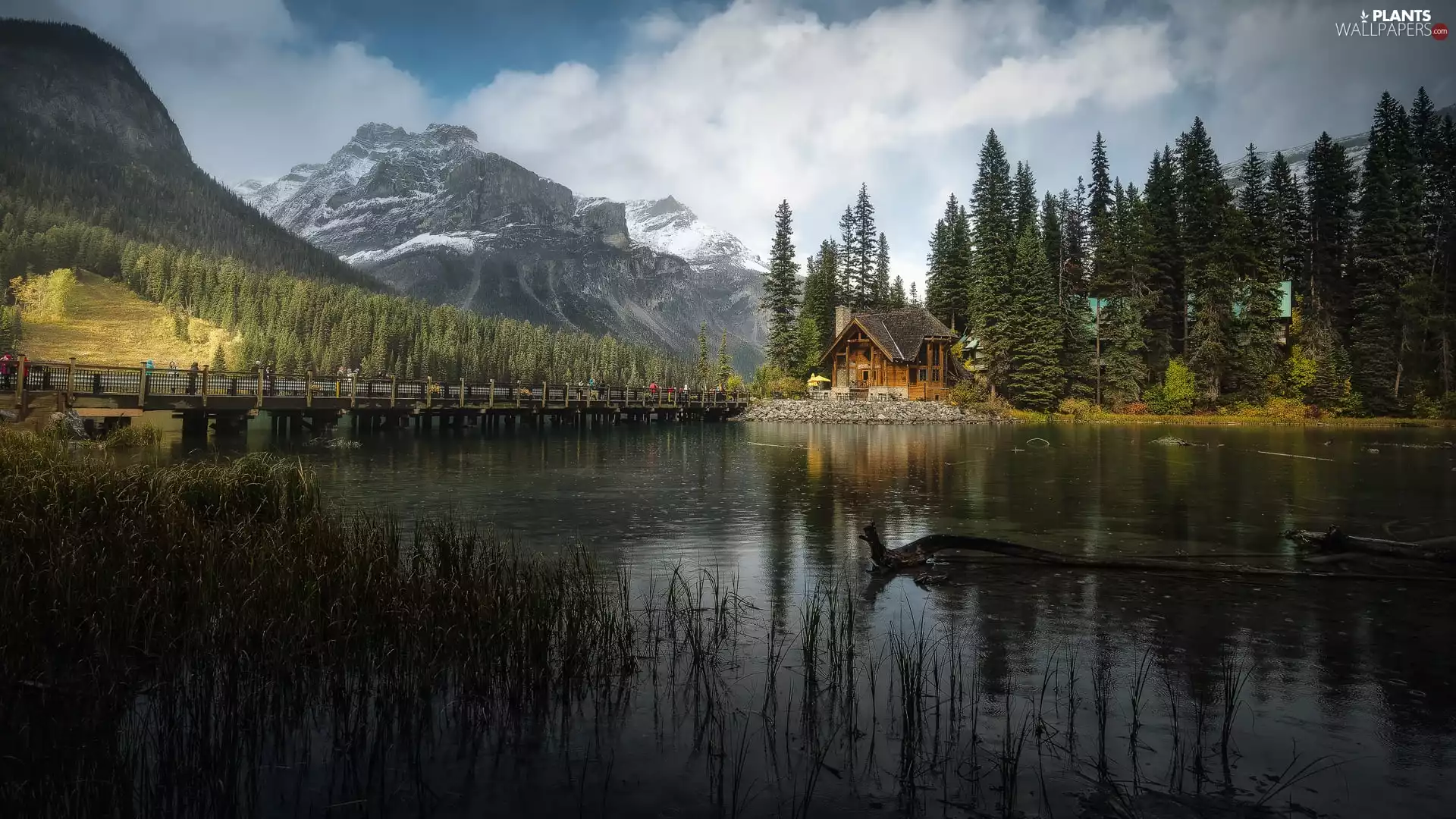 lake, Yoho National Park, Mountains, Emerald Lake, viewes, Canada, Province of British Columbia, bridge, house, clouds, trees